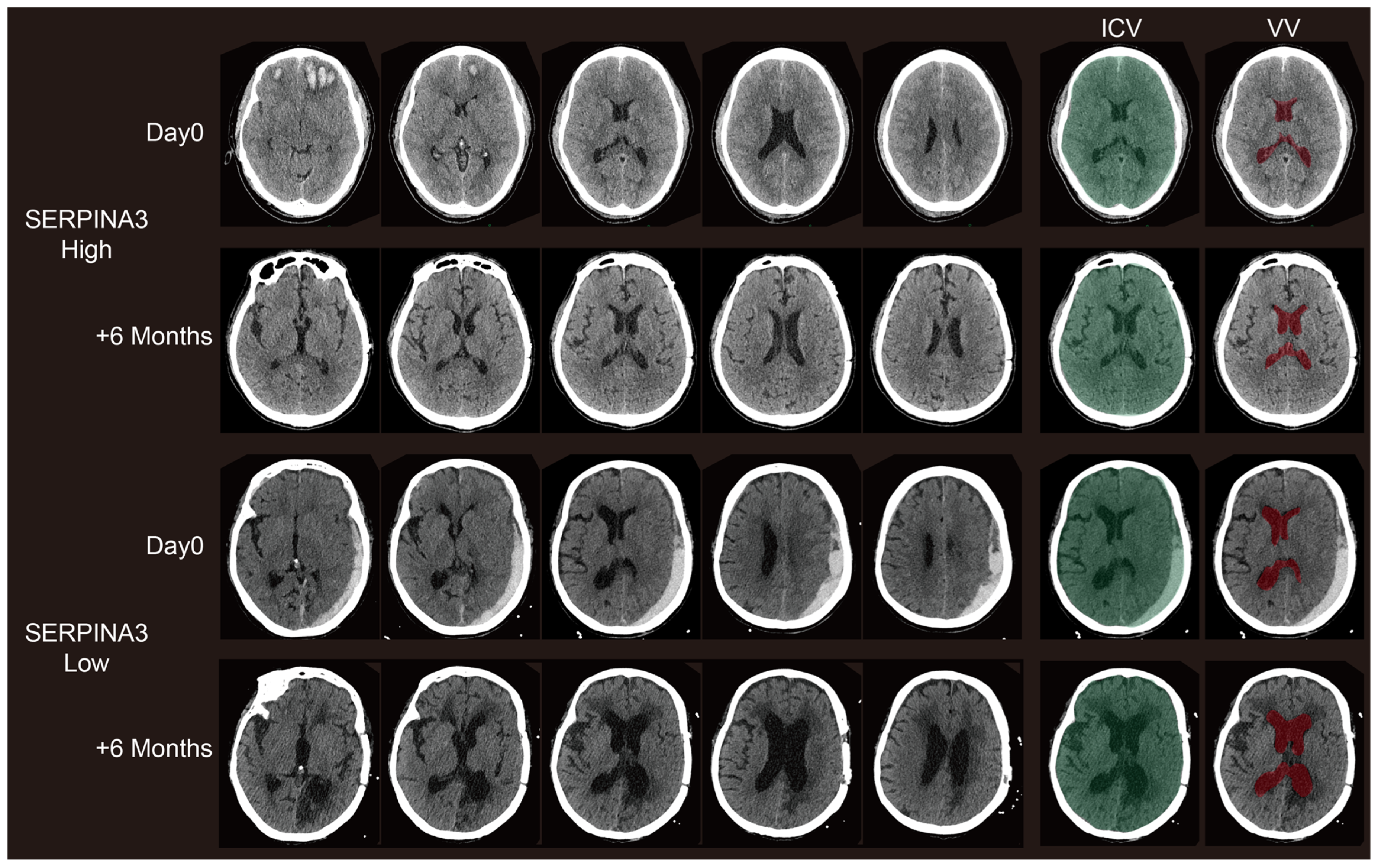 Diagnostics 14 01245 g004