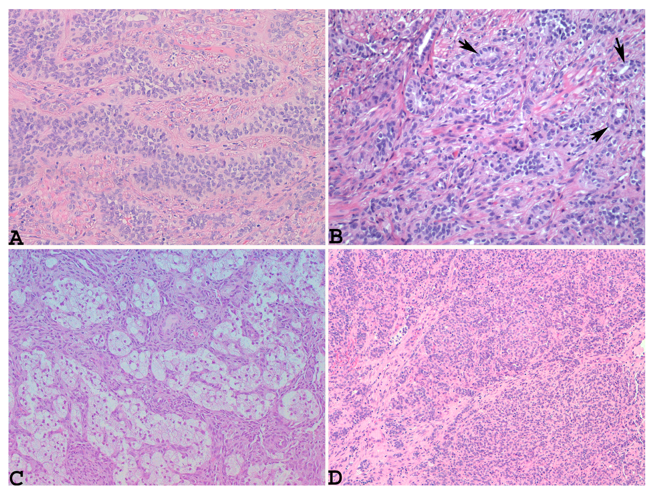 Diagnostics 14 01271 g001