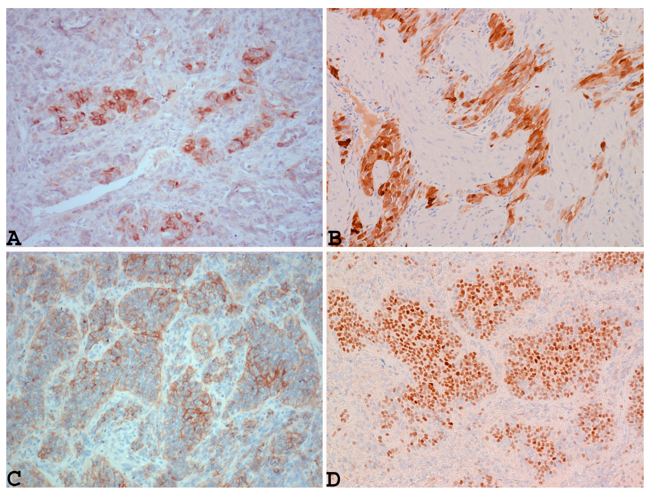 Diagnostics 14 01271 g003