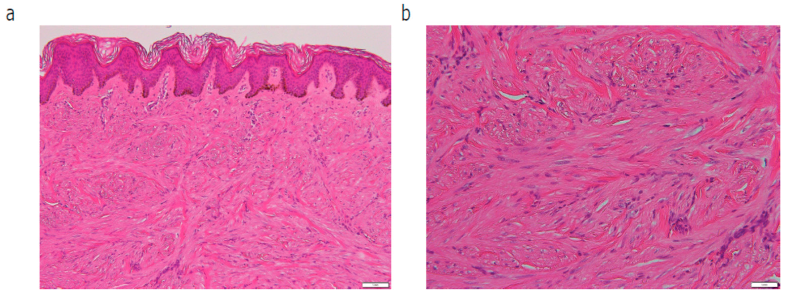 Diagnostics 14 01279 g002