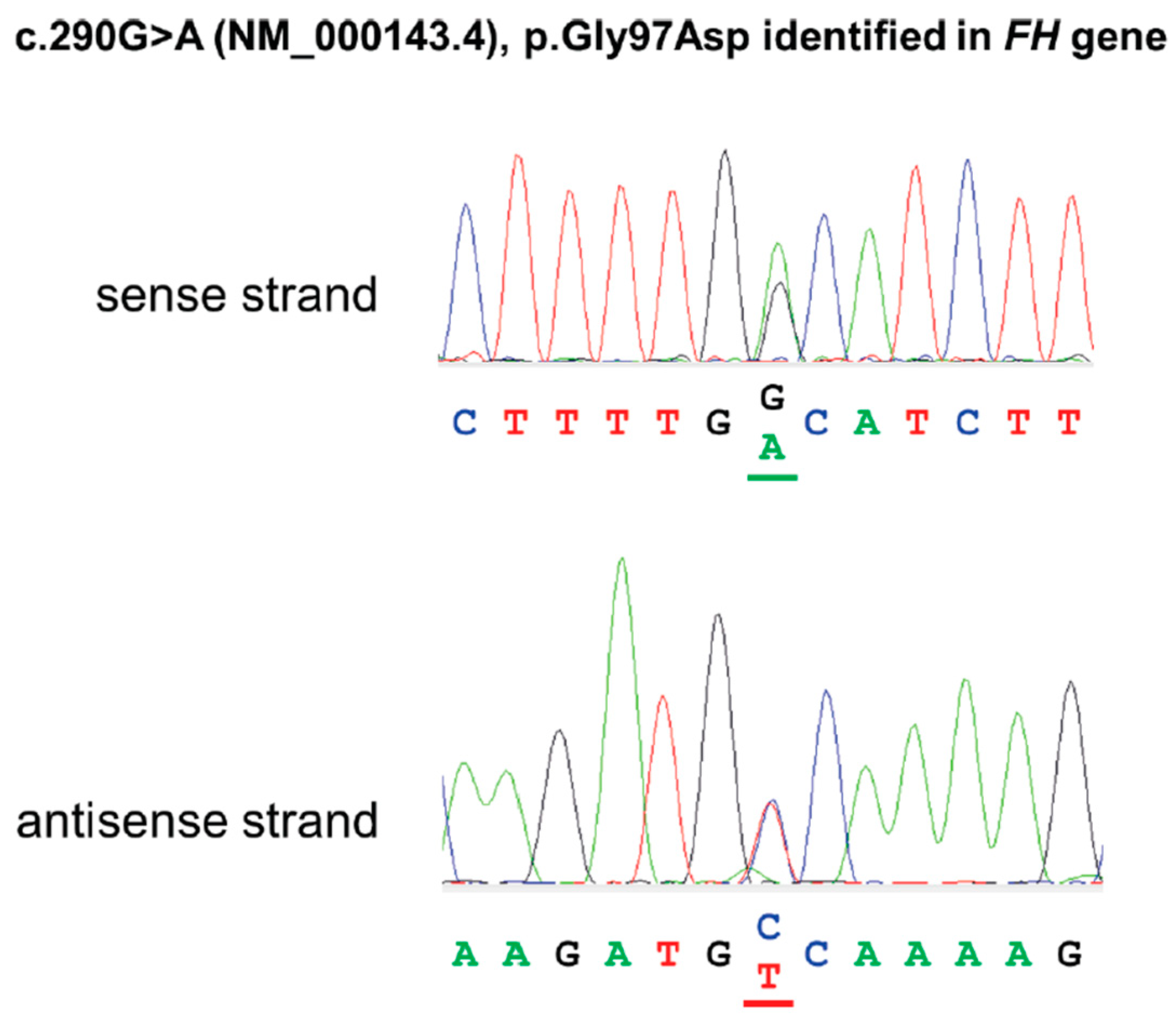 Diagnostics 14 01279 g004