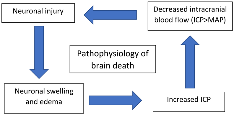Diagnostics 14 01287 i001