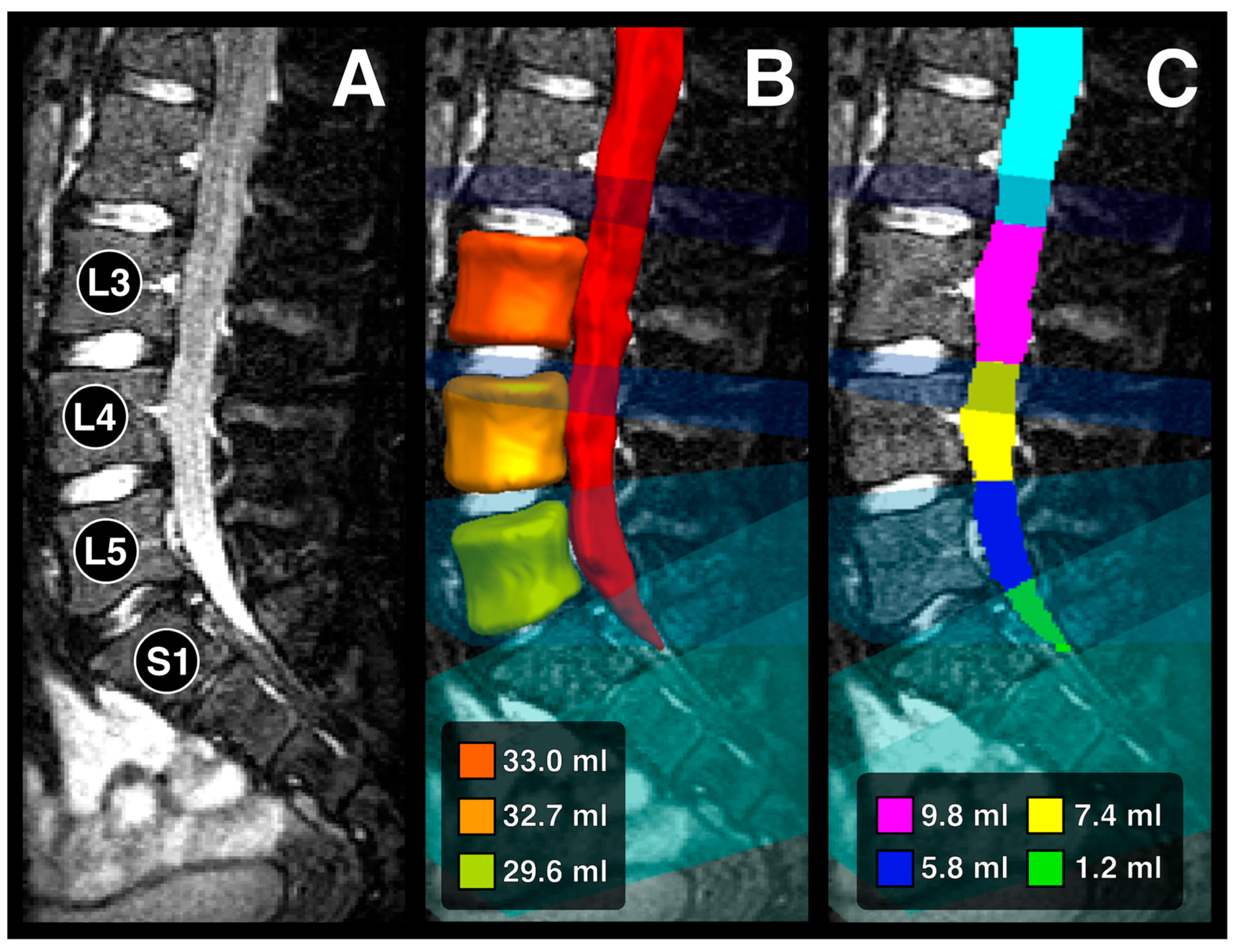 Diagnostics 14 01301 g001