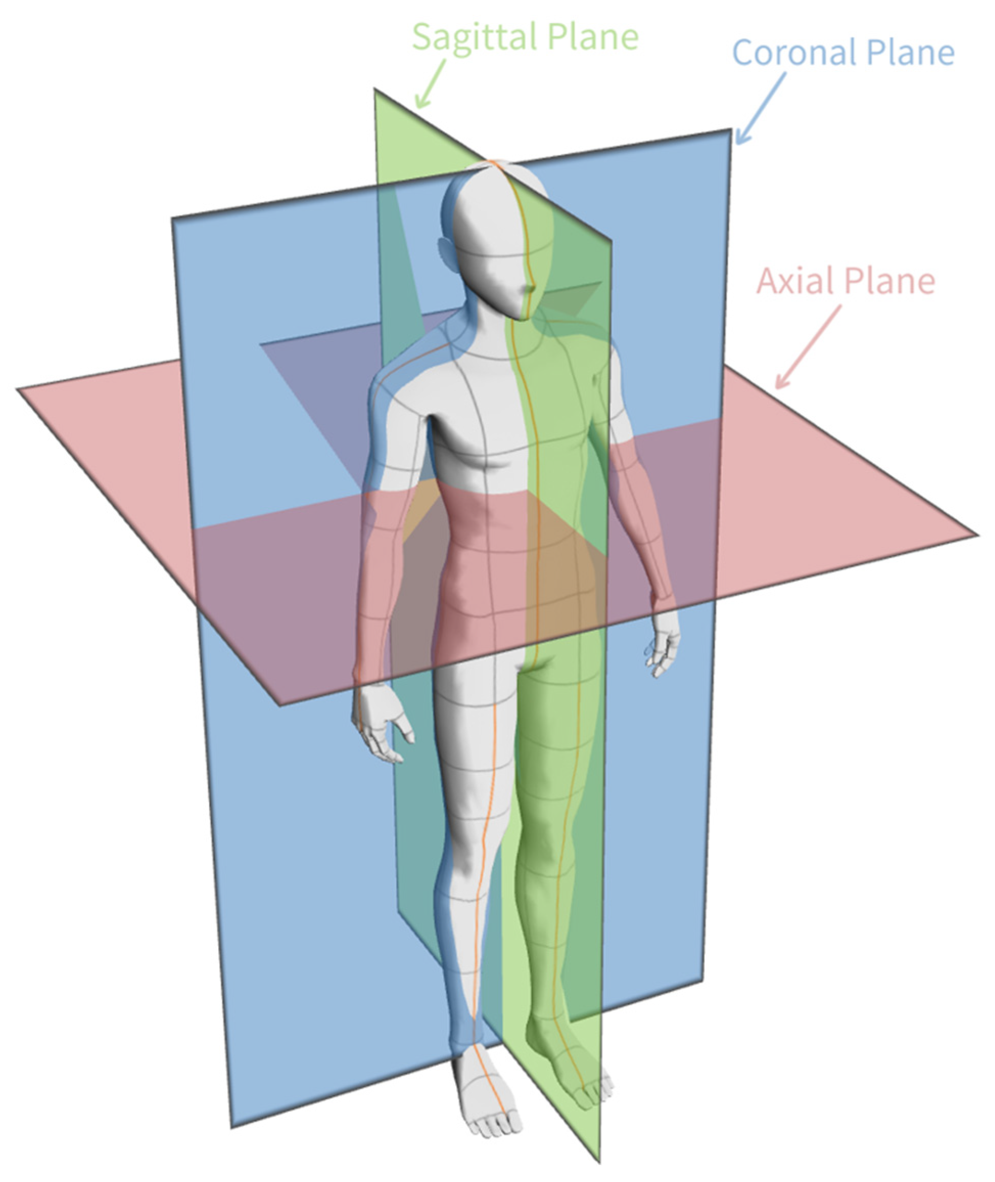 Diagnostics 14 01309 g002