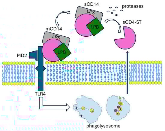 Diagnostics 14 01311 g002