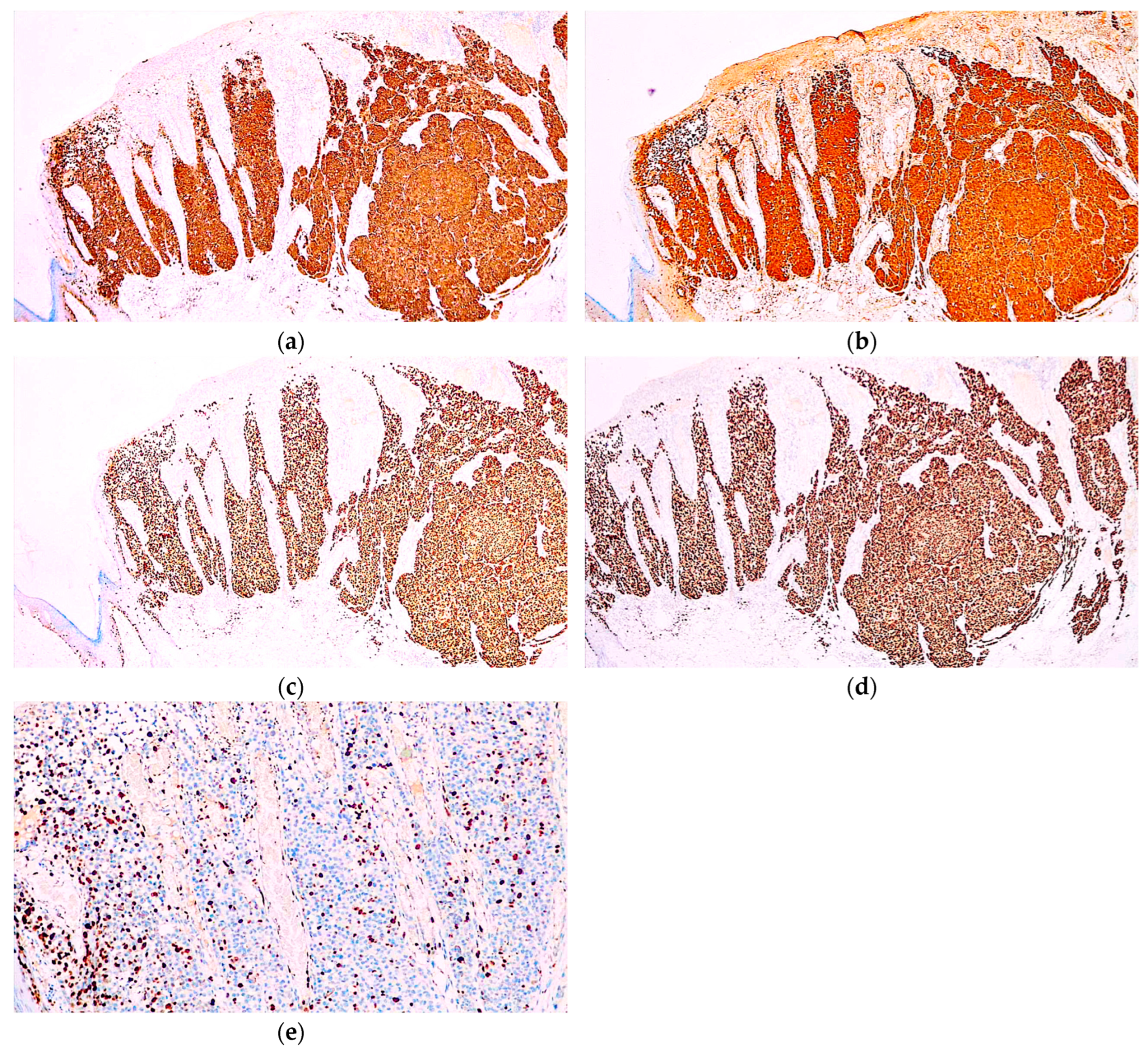 Diagnostics 14 01323 g003