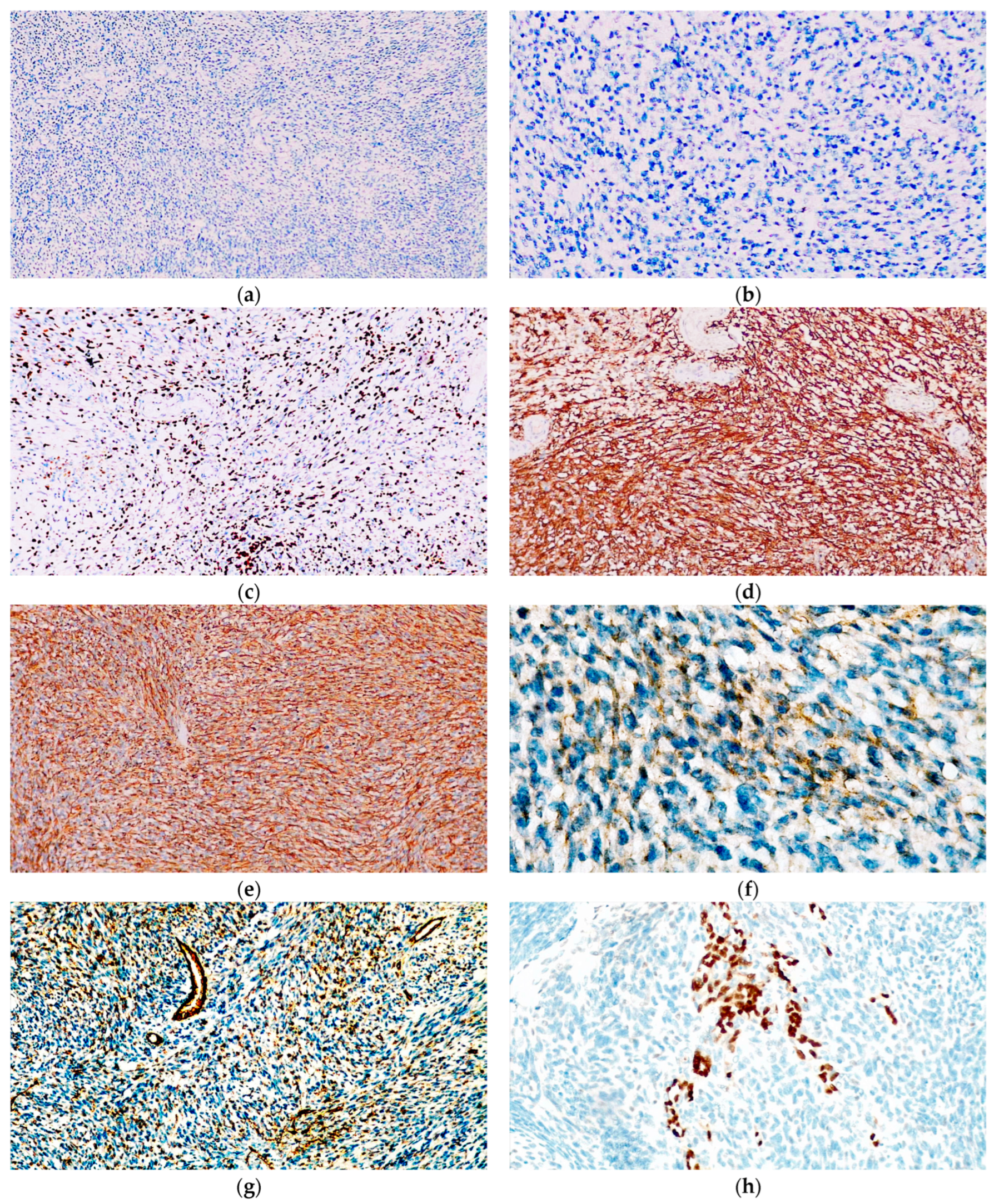 Diagnostics 14 01323 g007