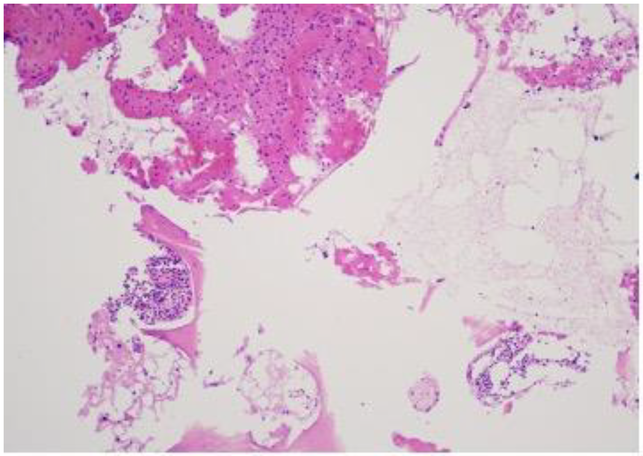 Diagnostics 14 01330 g006