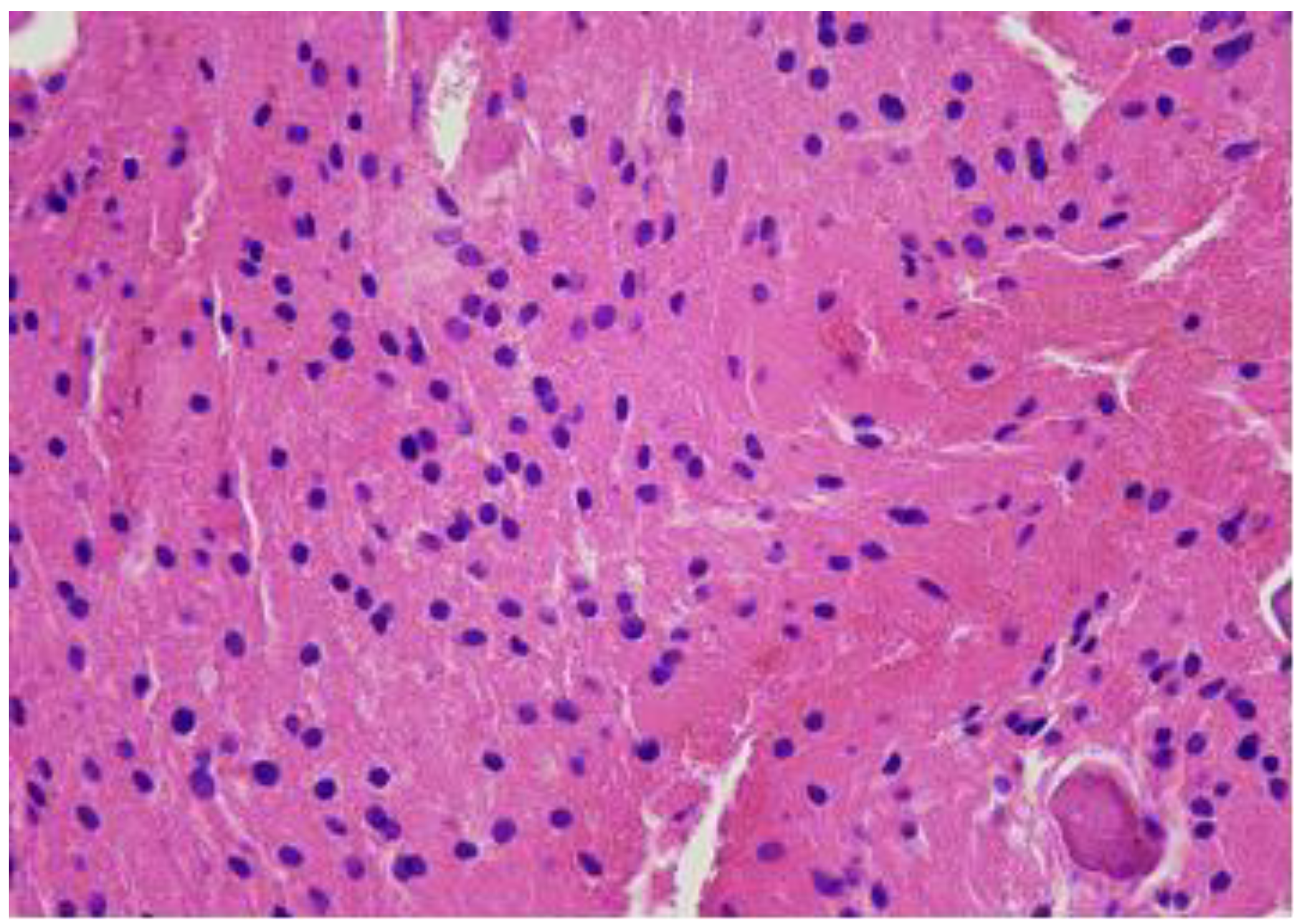 Diagnostics 14 01330 g007