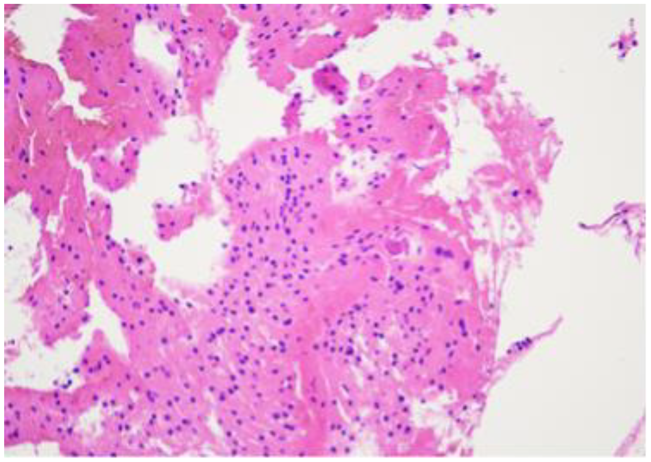 Diagnostics 14 01330 g008