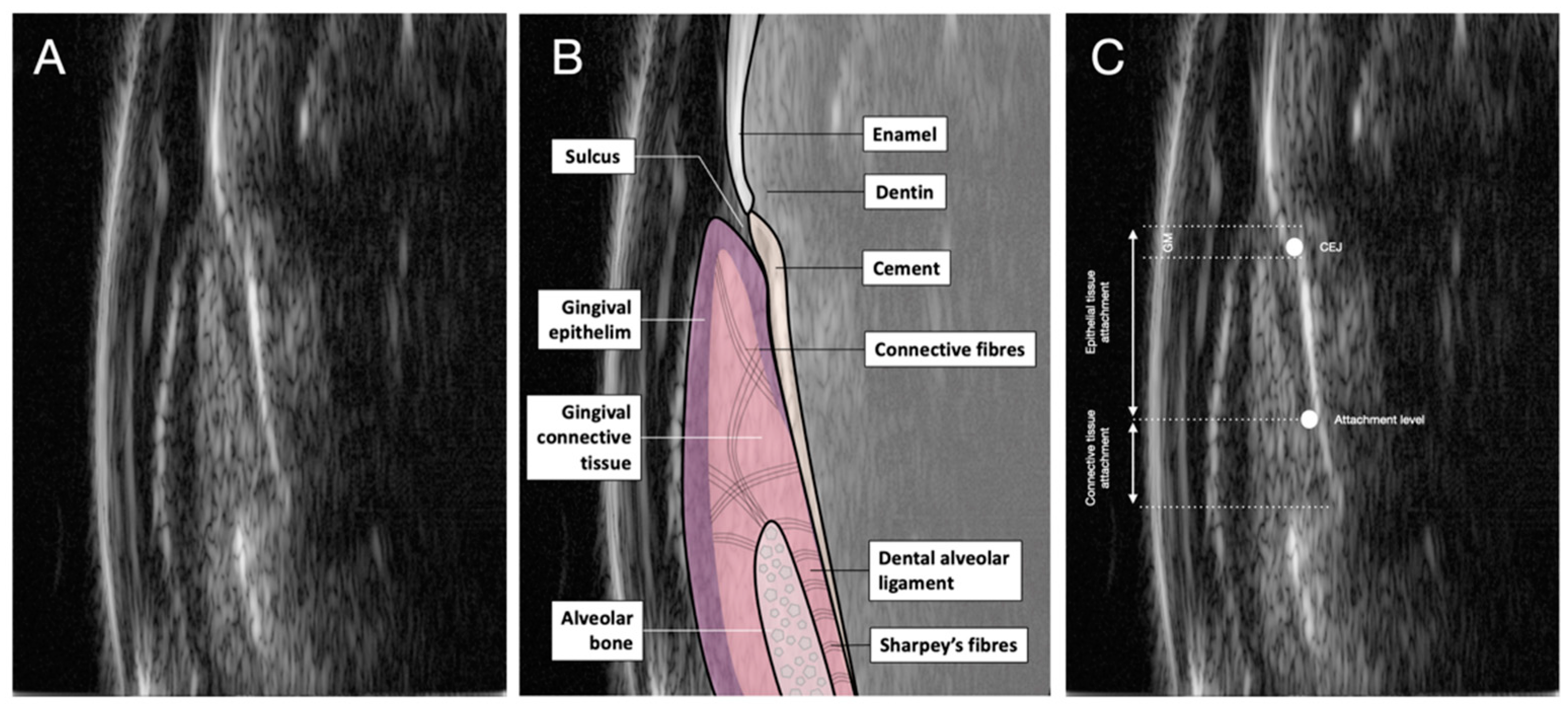 Diagnostics 14 01335 g004
