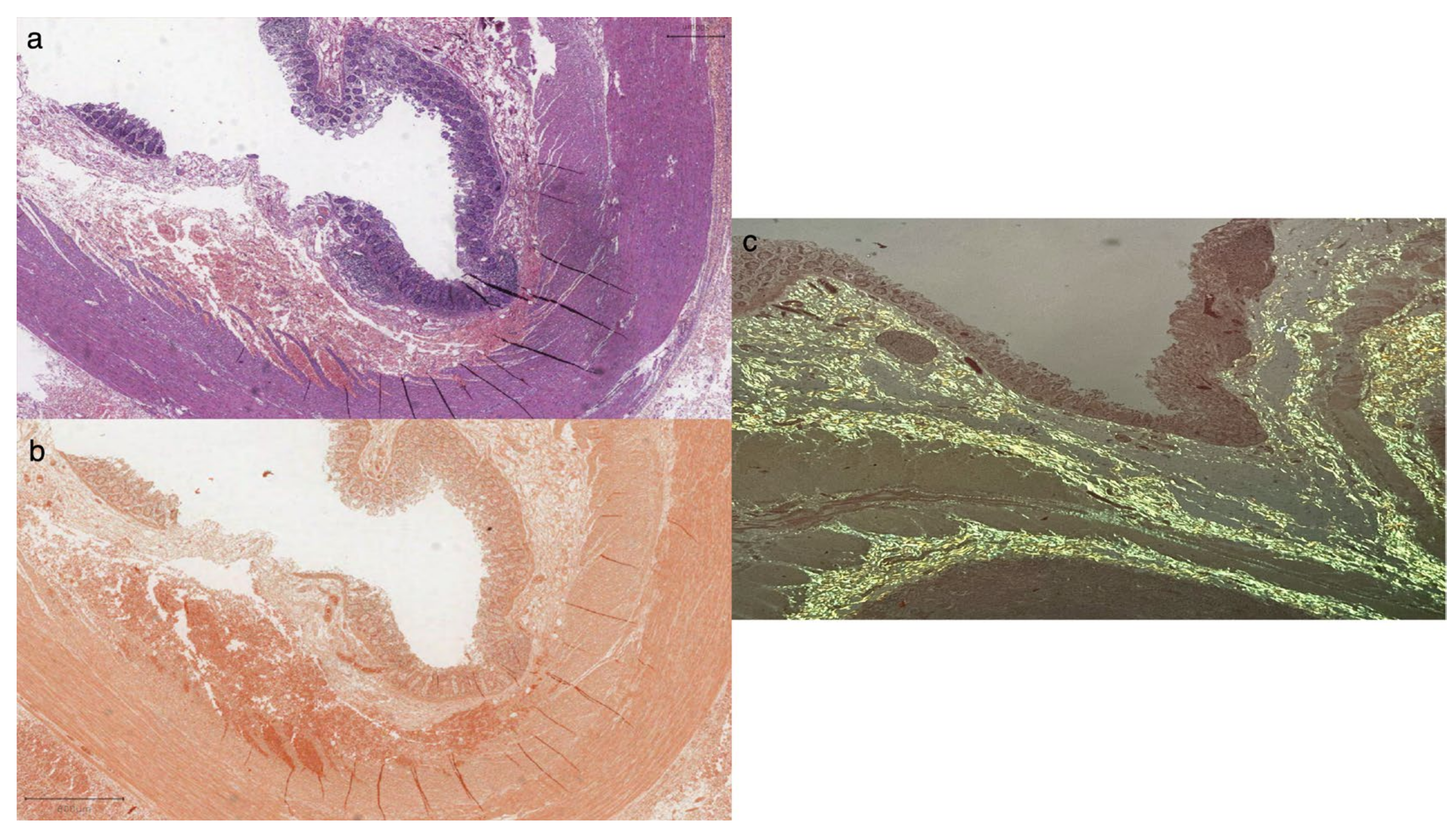 Diagnostics 14 01337 g003