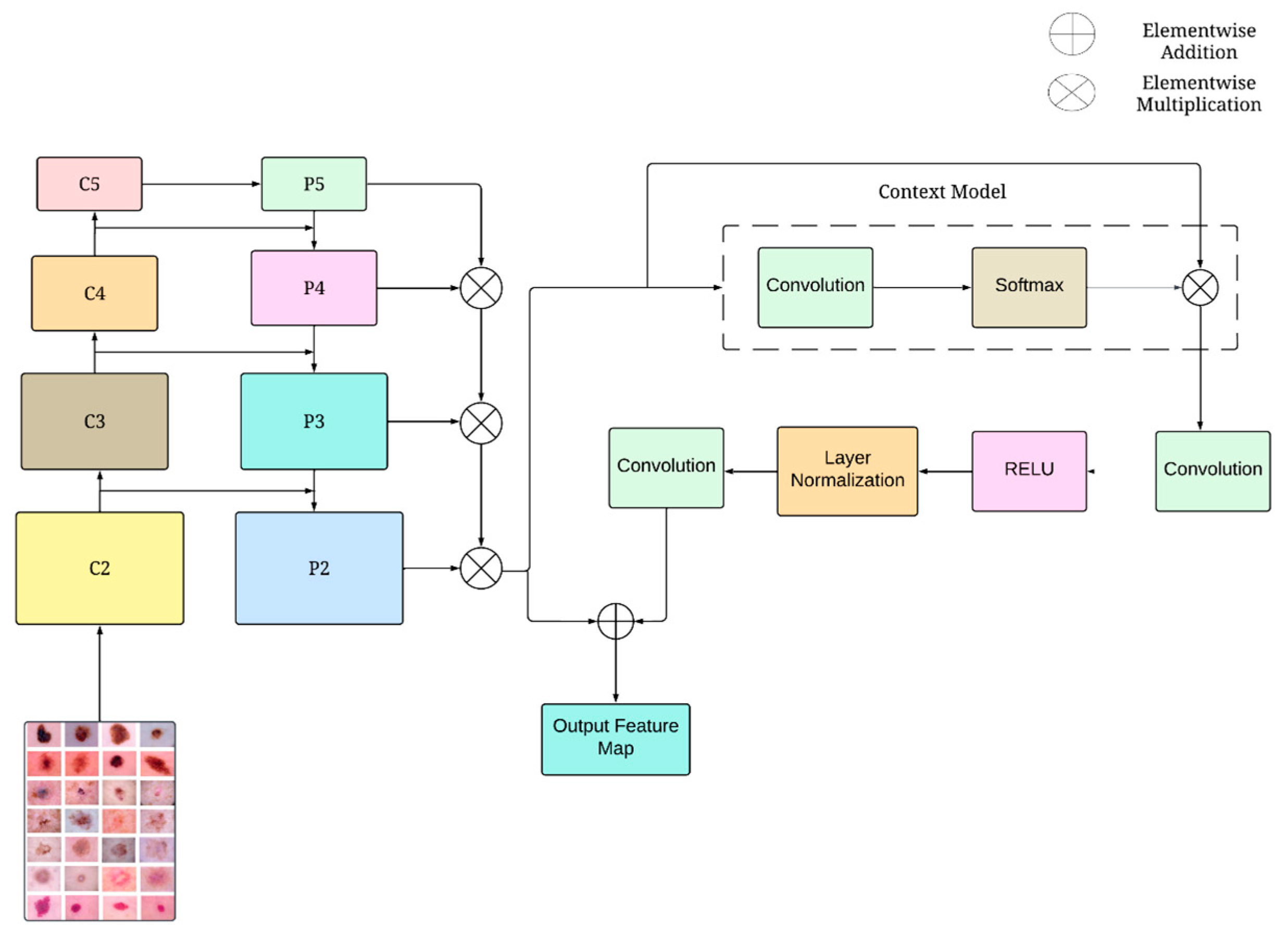 Diagnostics 14 01338 g003