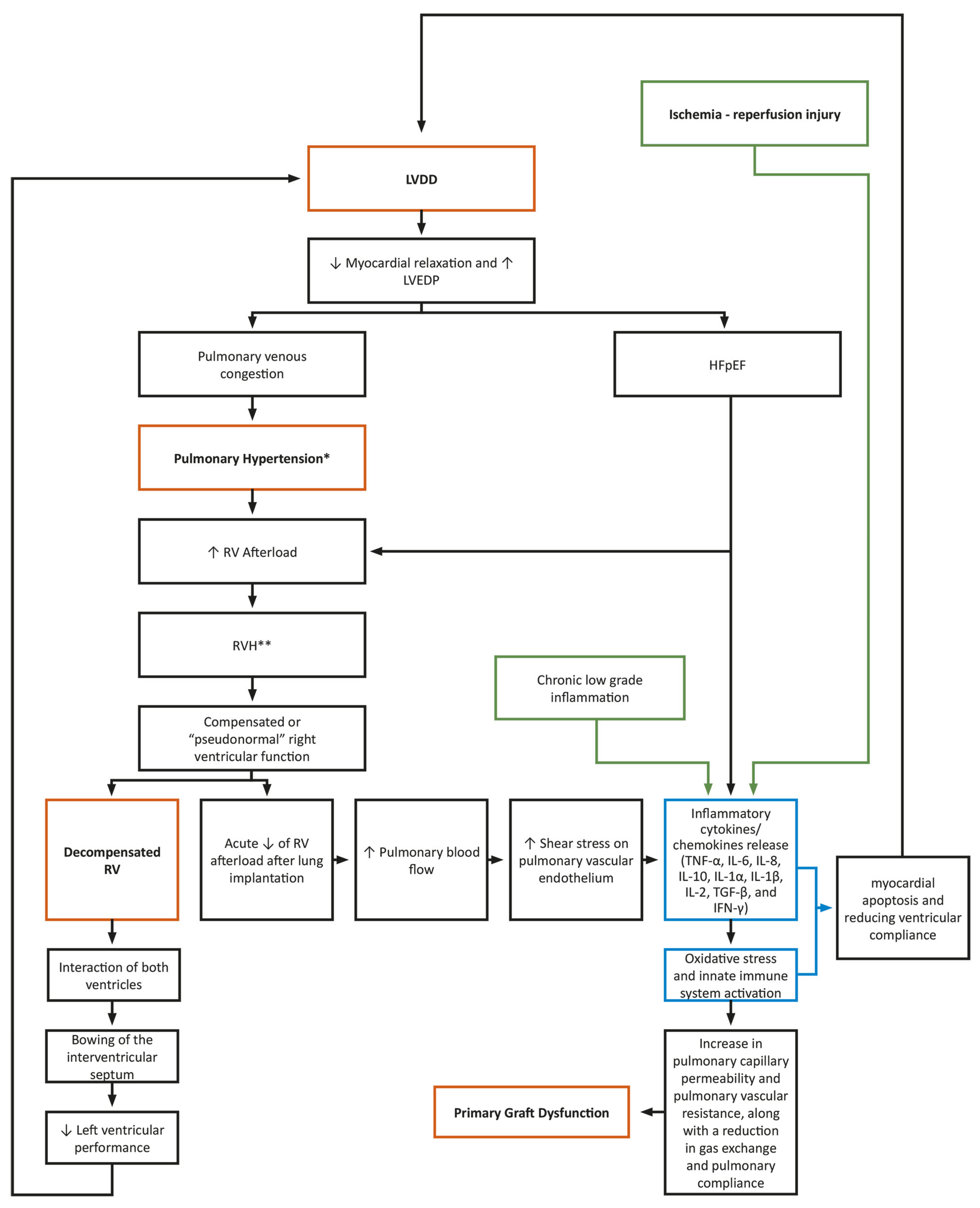 Diagnostics 14 01340 g001