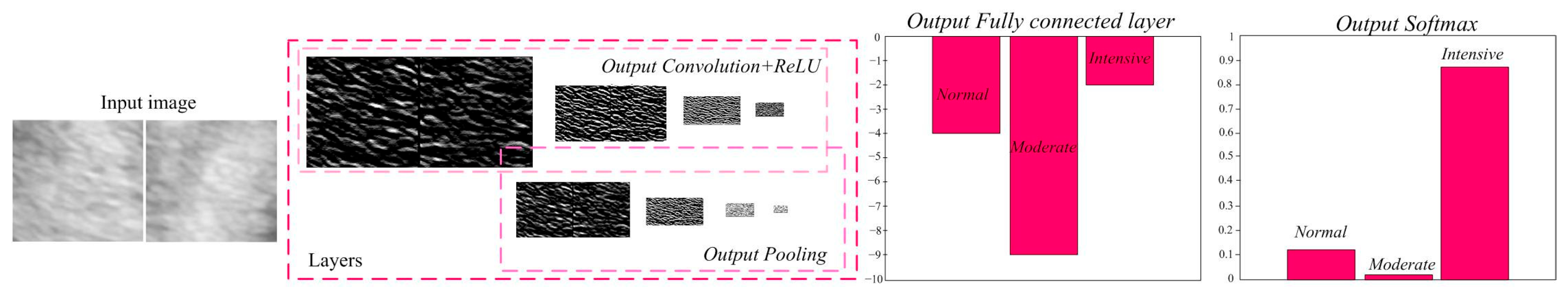 Diagnostics 14 01342 g005