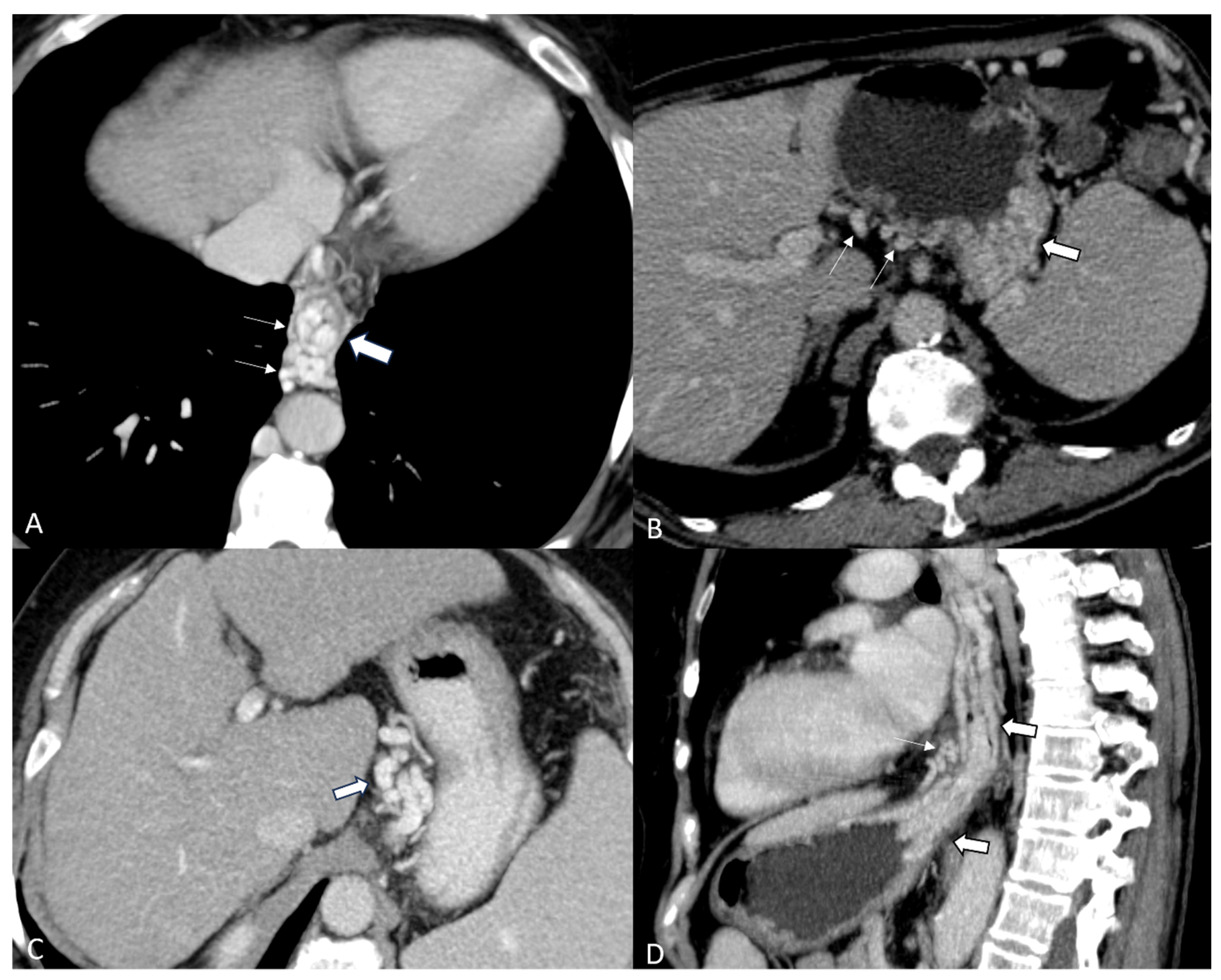 Diagnostics 14 01372 g001