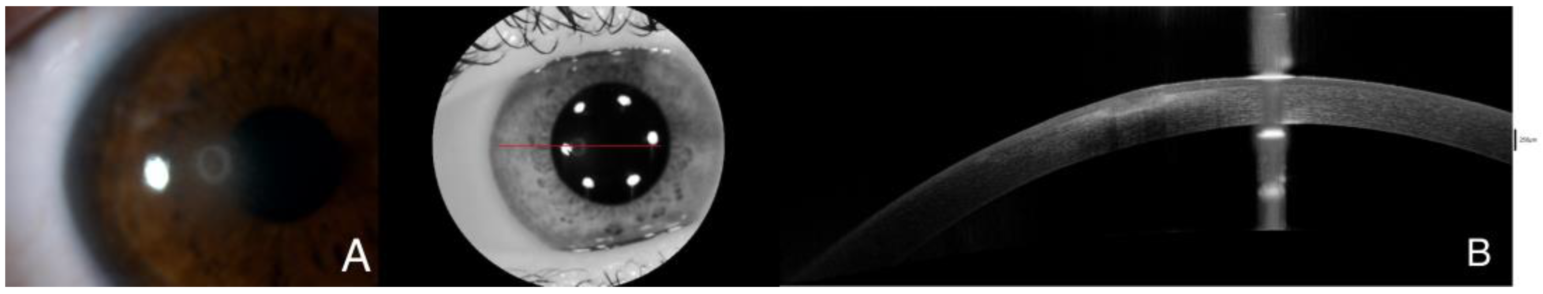 Diagnostics 14 01382 g001