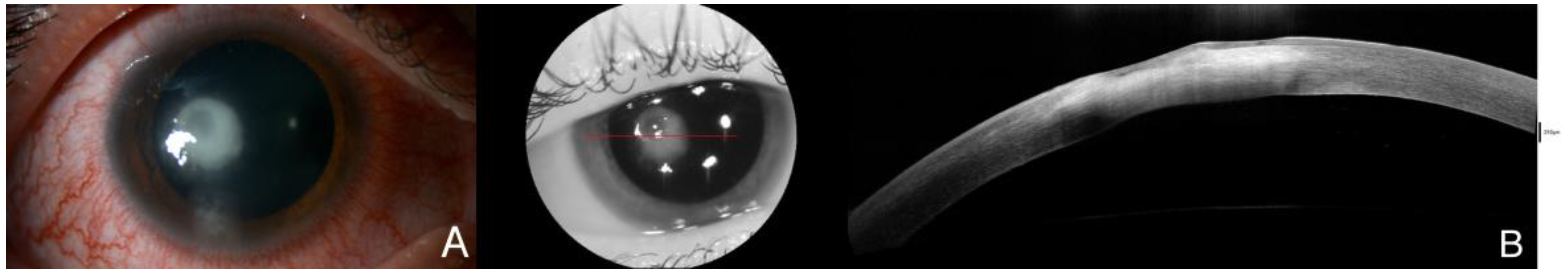 Diagnostics 14 01382 g002