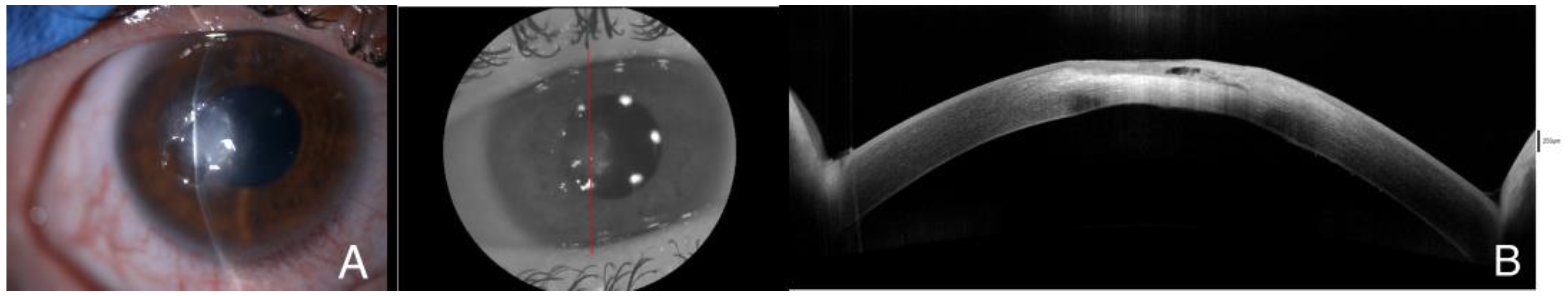 Diagnostics 14 01382 g003