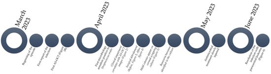 Diagnostics 14 01382 g007