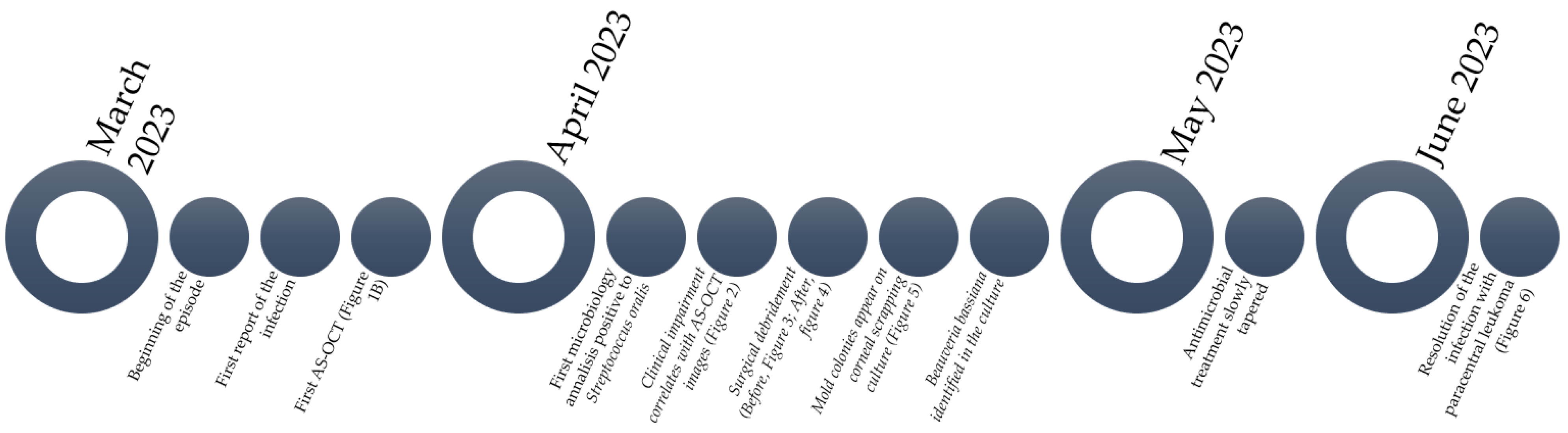 Diagnostics 14 01382 g007