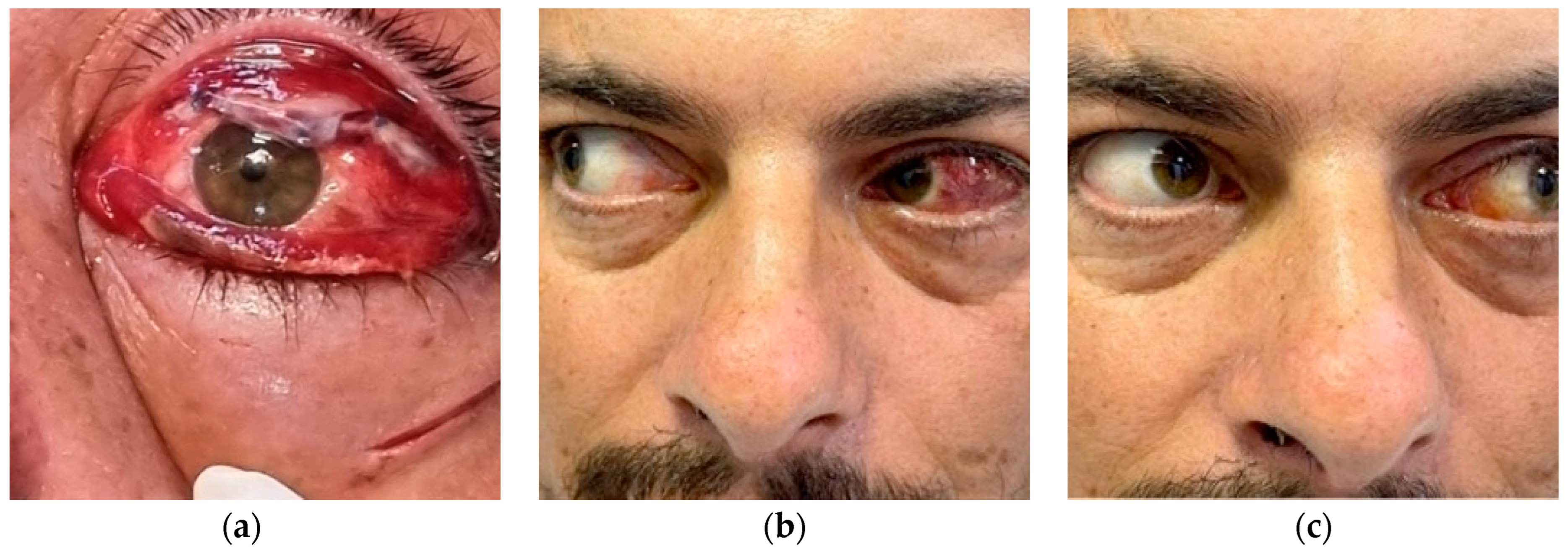 Diagnostics 14 01391 g012