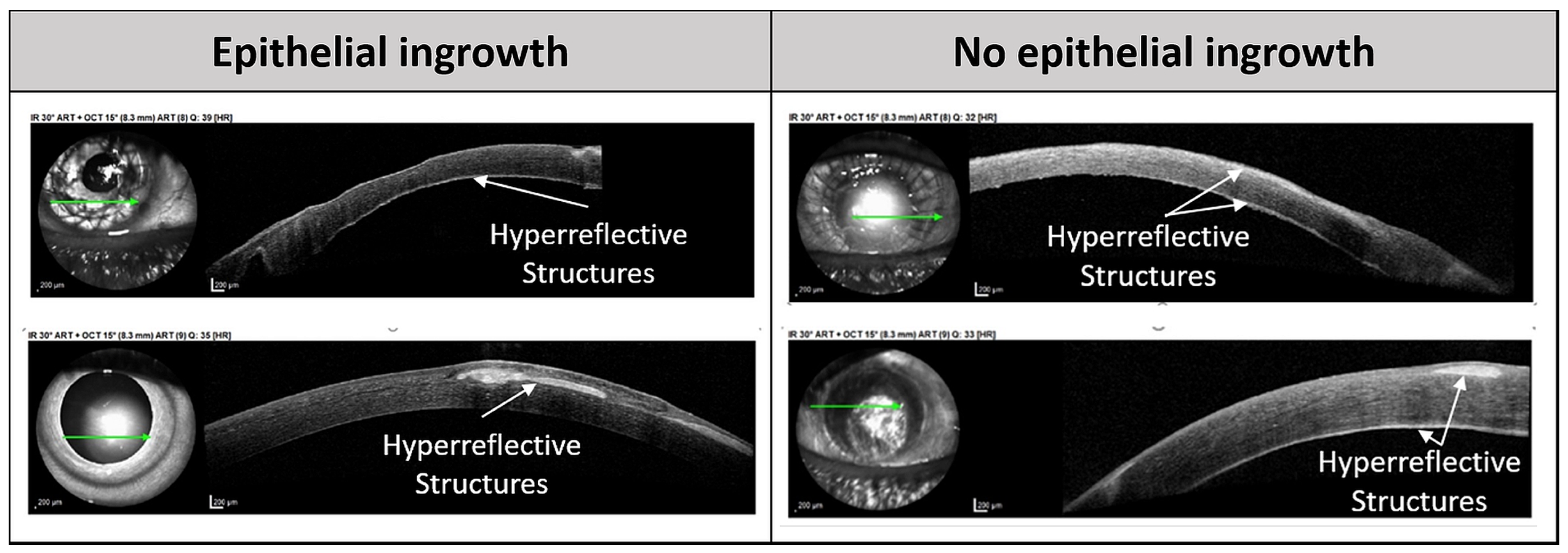 Diagnostics 14 01401 g002