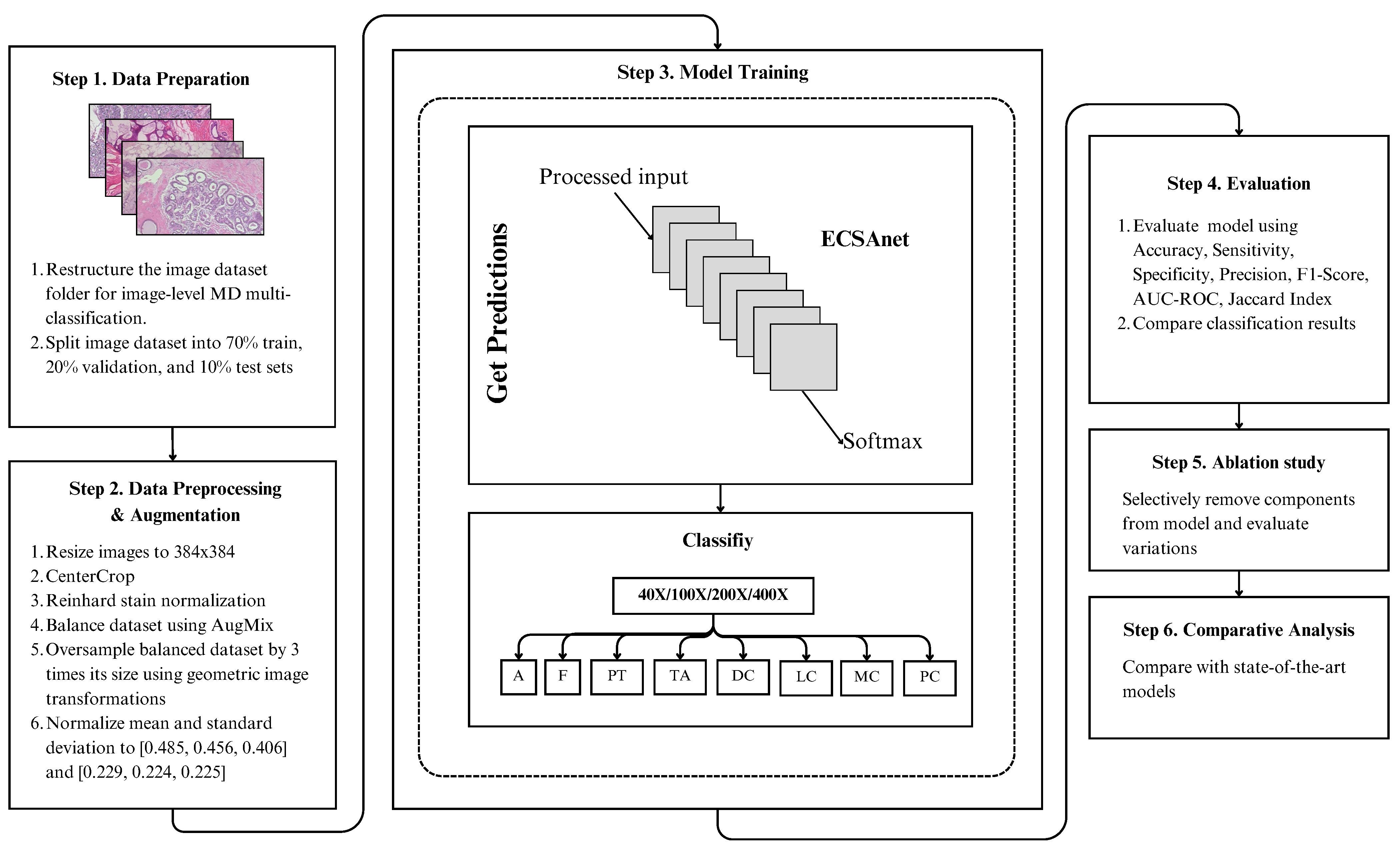 Diagnostics 14 01402 g001