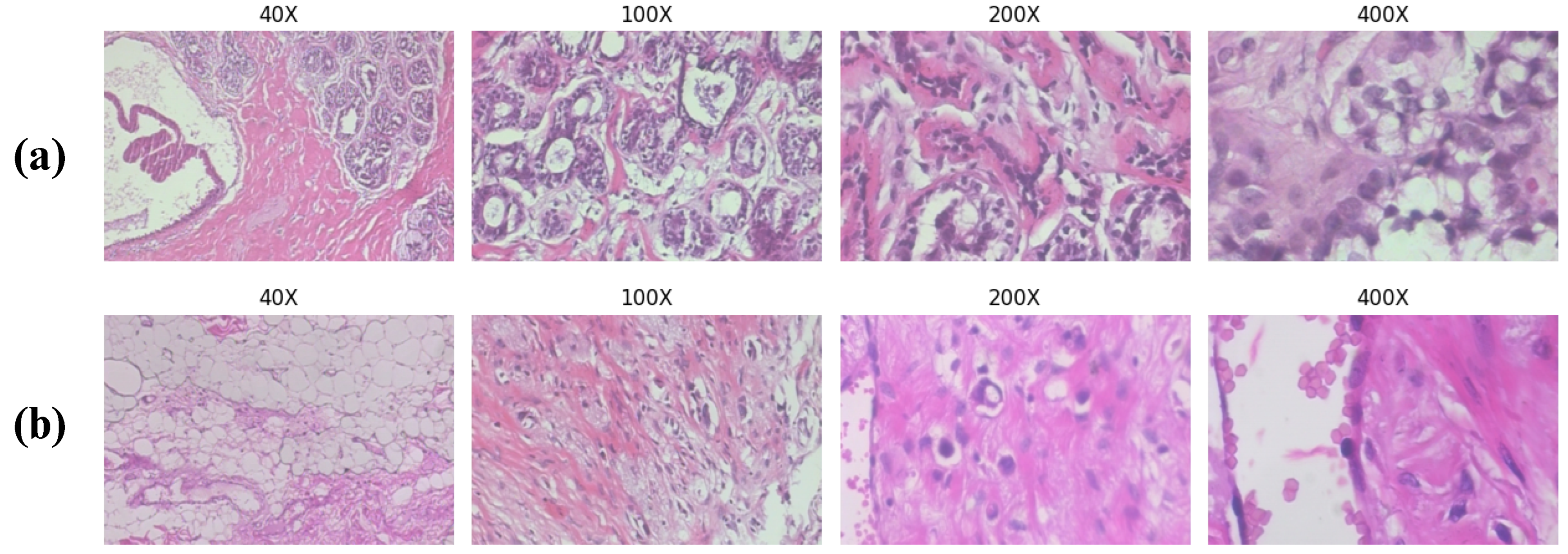 Diagnostics 14 01402 g007
