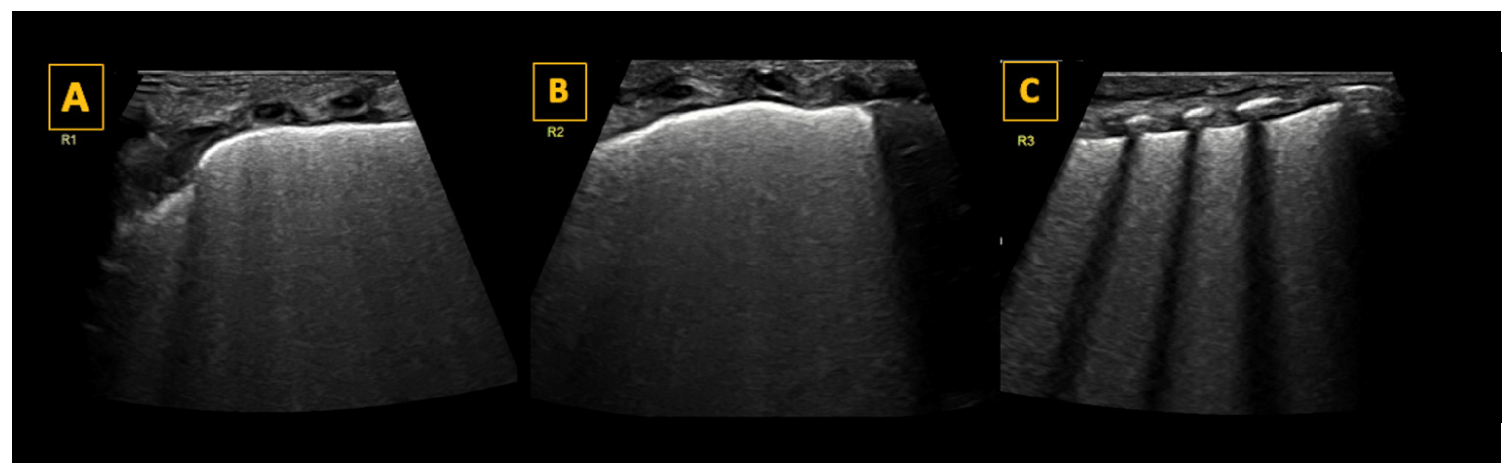 Diagnostics 14 01413 g004