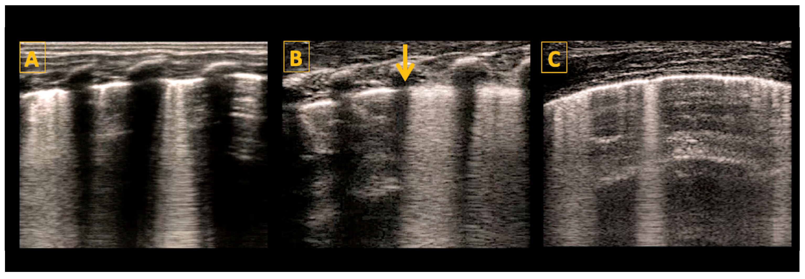 Diagnostics 14 01413 g006