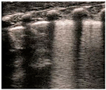 Diagnostics 14 01413 i005 Diagnostics 14 01413 i005