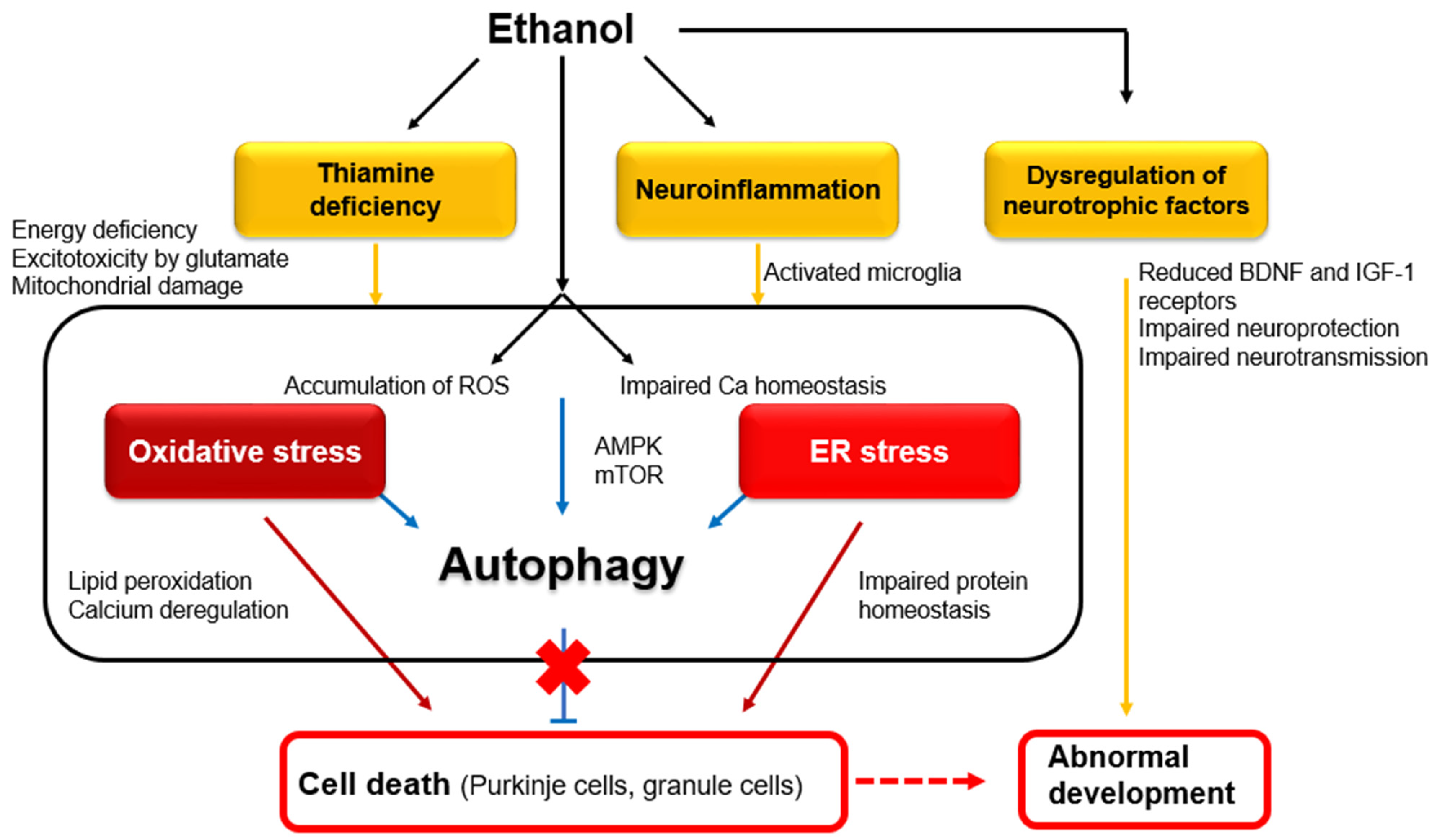 Diagnostics 14 01415 g001