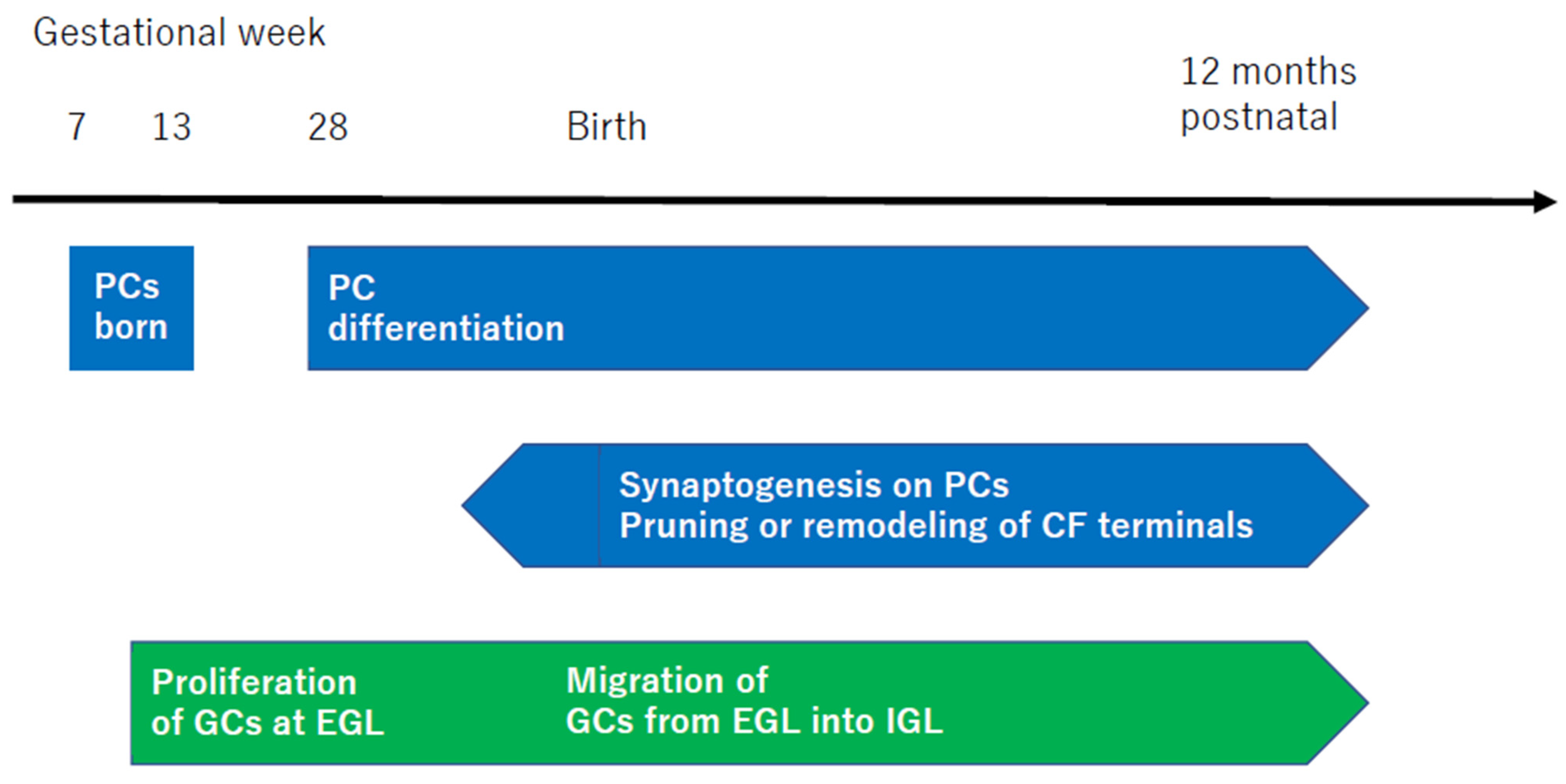 Diagnostics 14 01415 g004