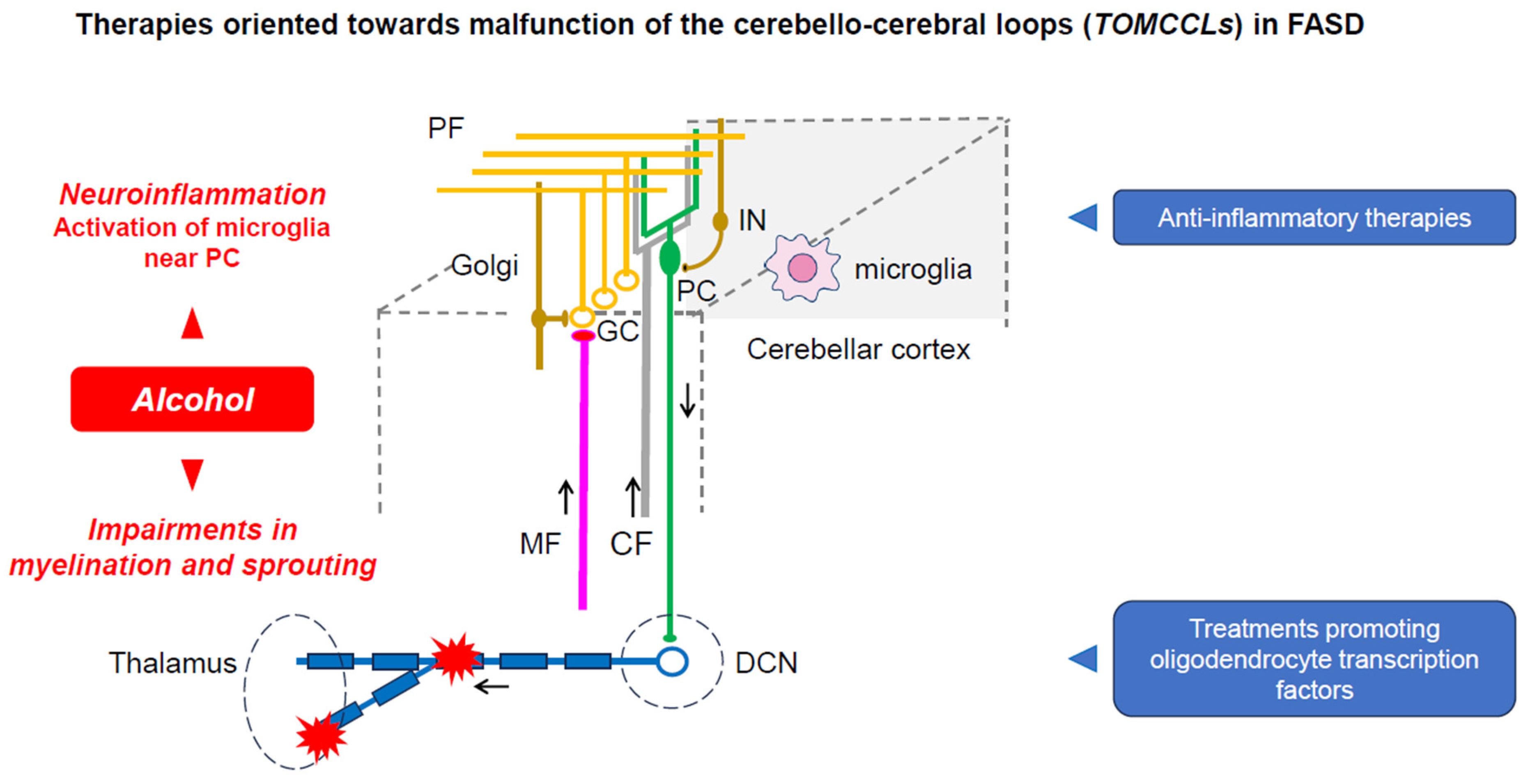 Diagnostics 14 01415 g005