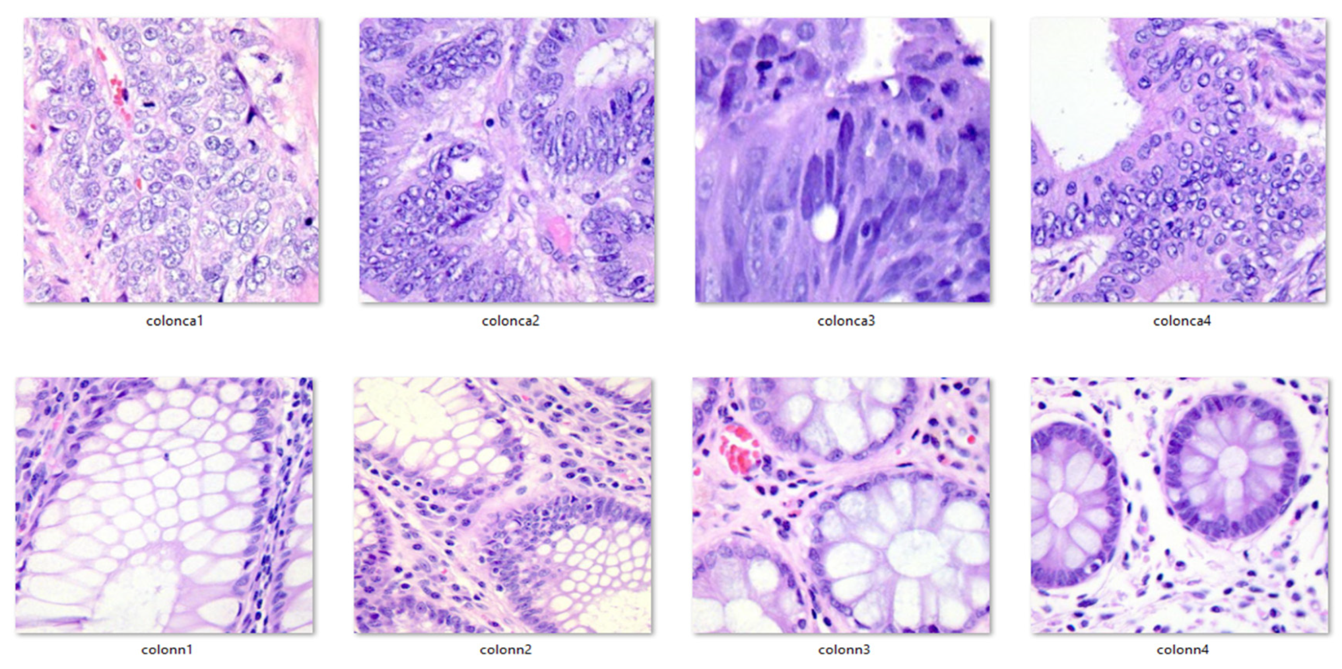 Diagnostics 14 01417 g003