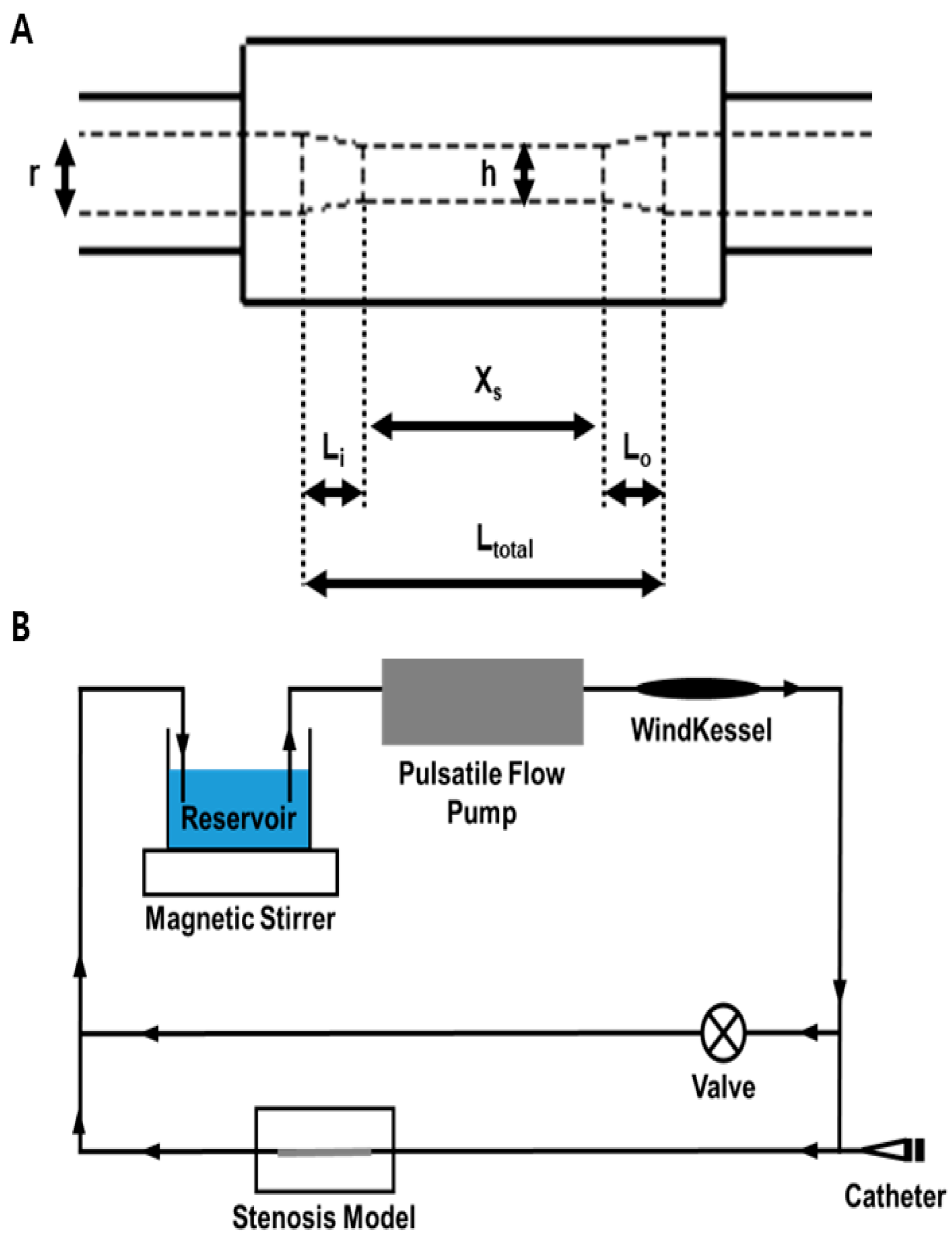 Diagnostics 14 01429 g001