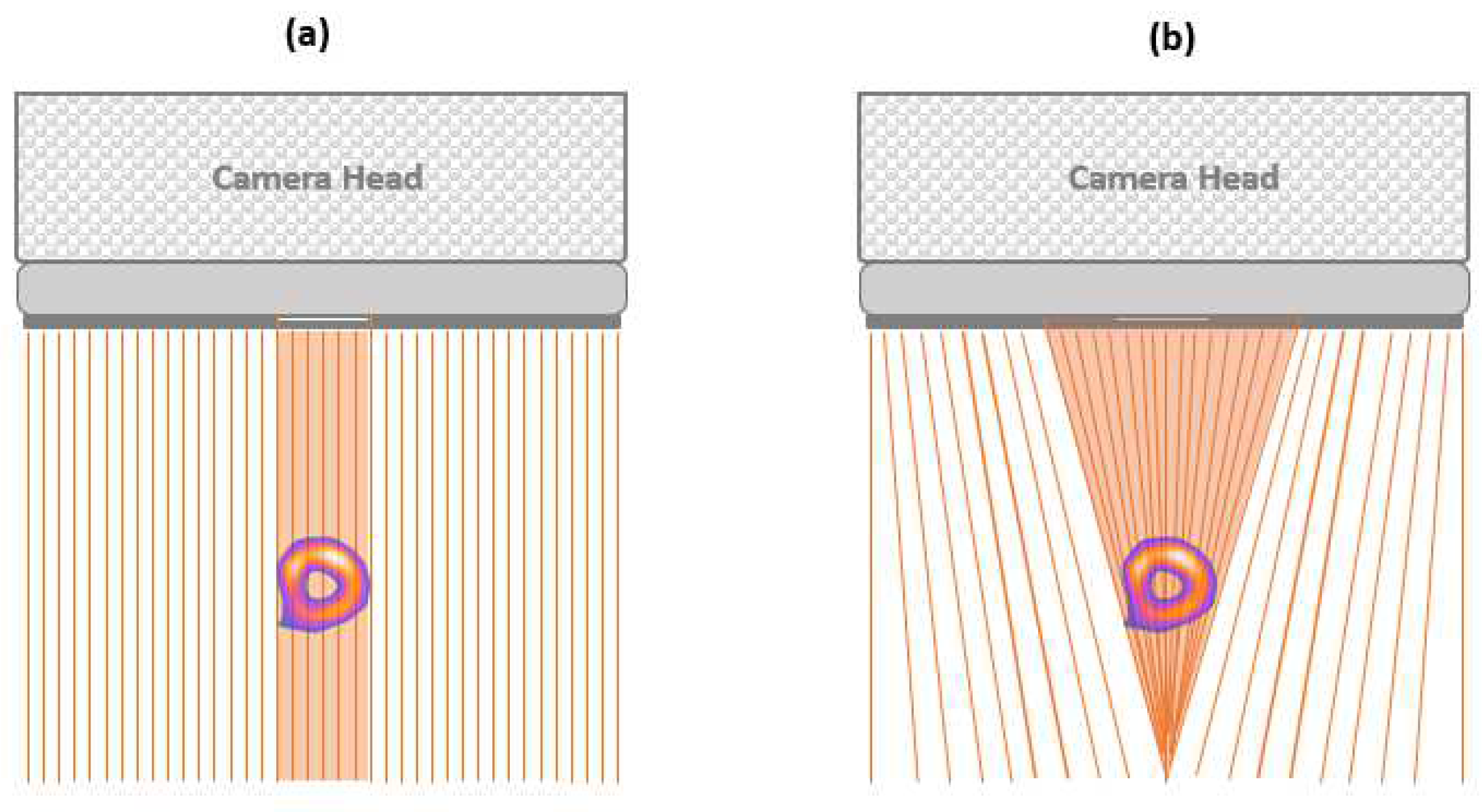 Diagnostics 14 01431 g003