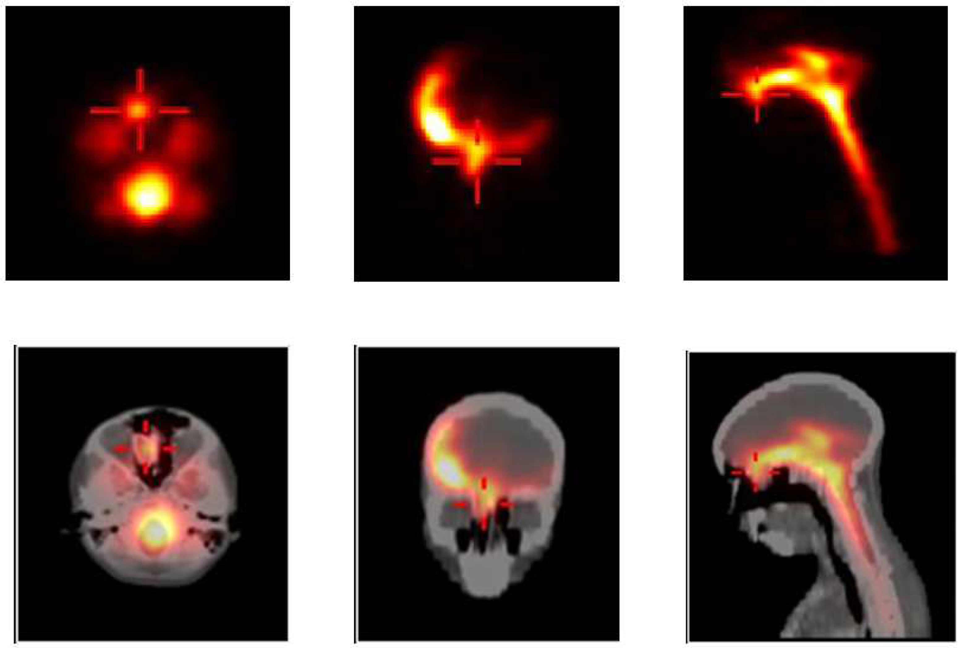 Diagnostics 14 01431 g007