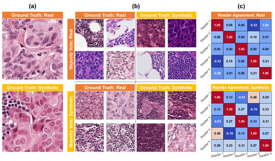 Diagnostics 14 01442 g0a1