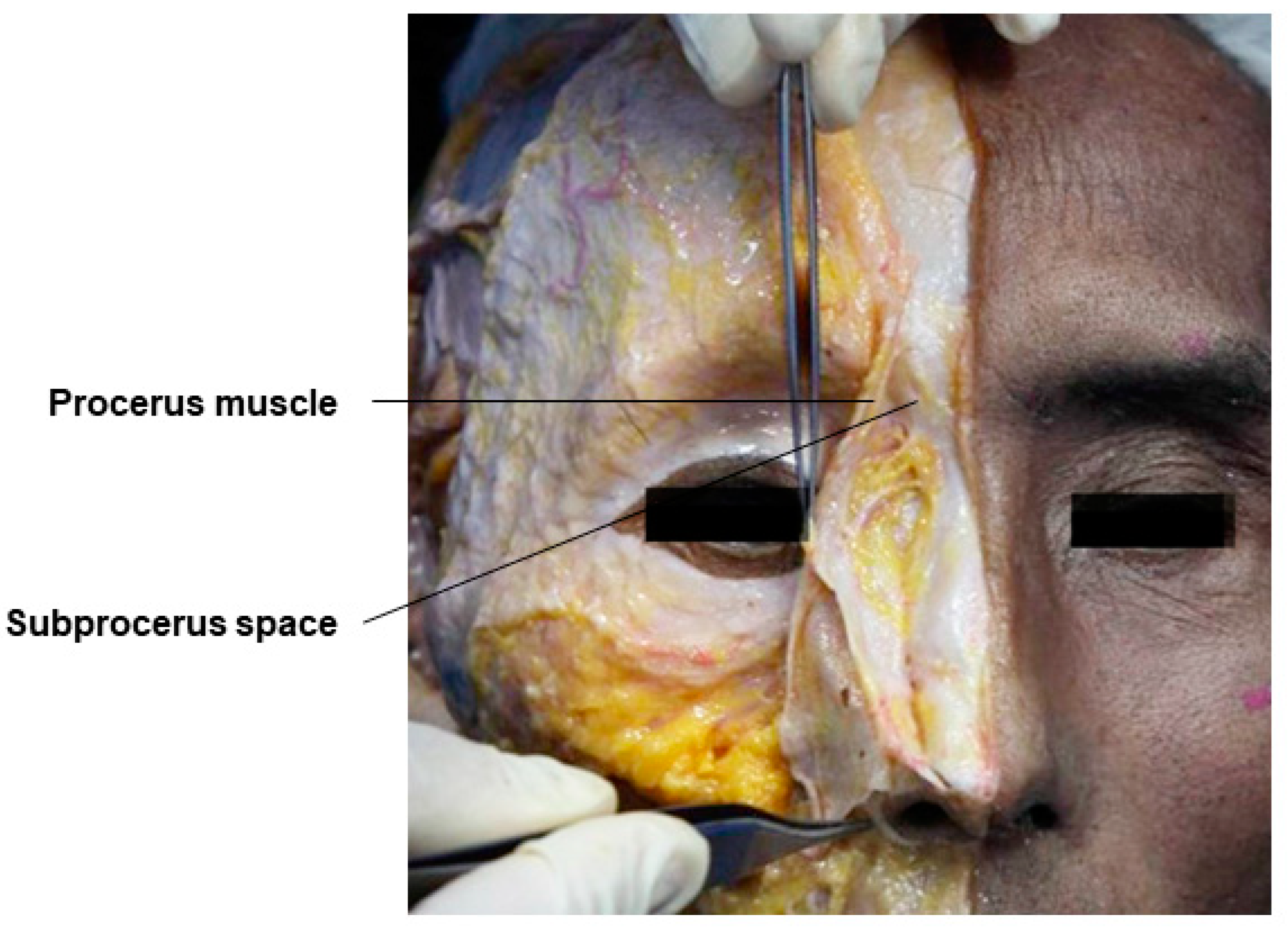 Diagnostics 14 01452 g009
