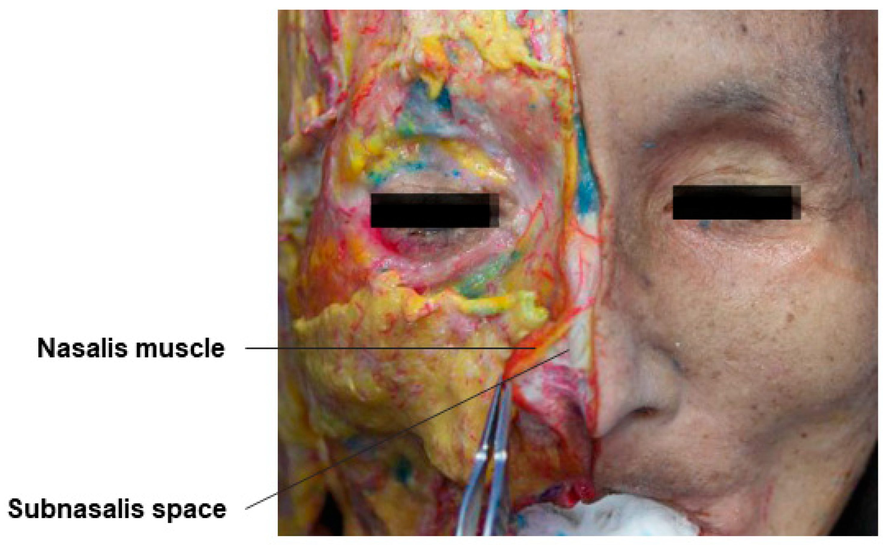 Diagnostics 14 01452 g010