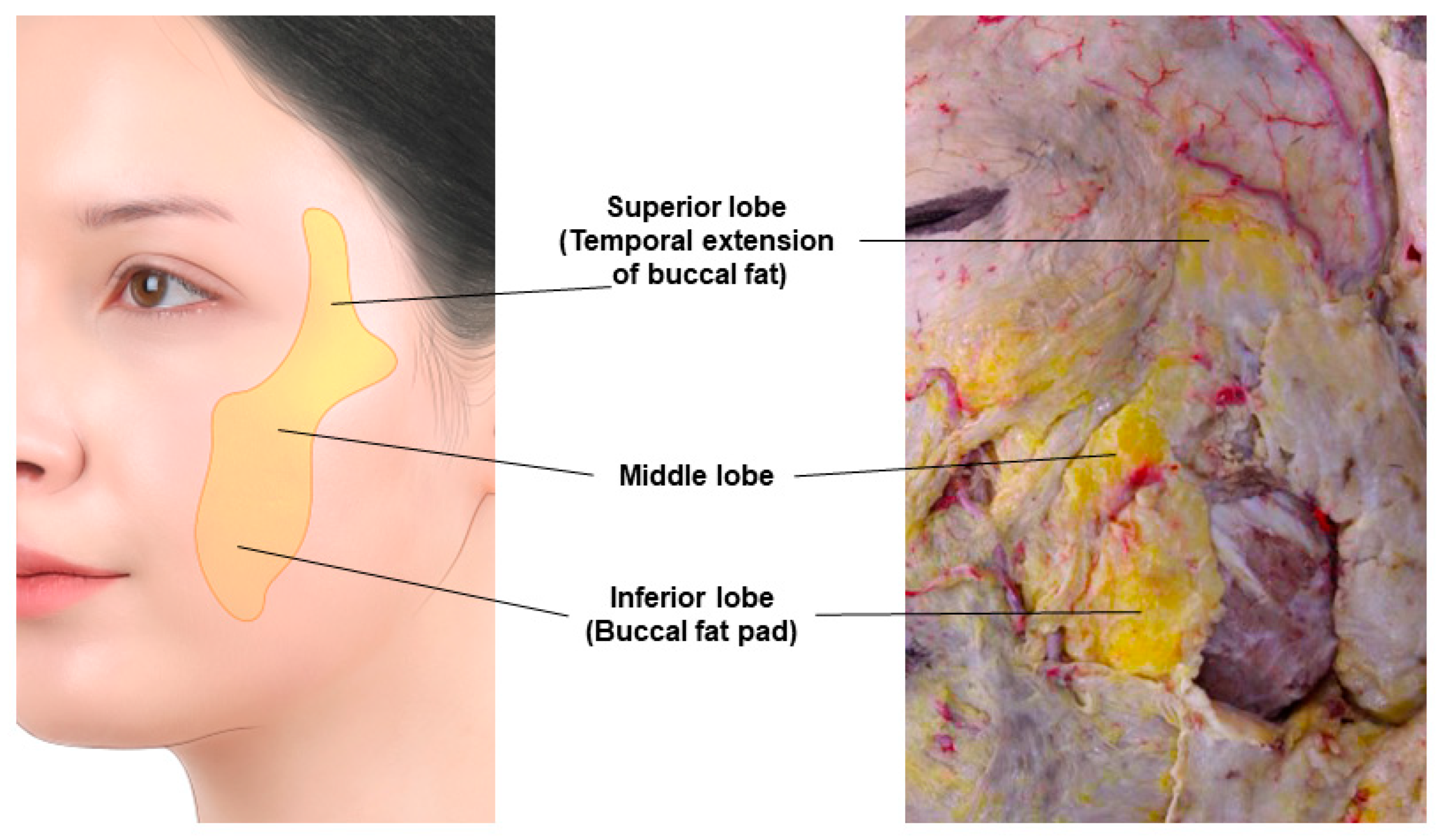 Diagnostics 14 01452 g020