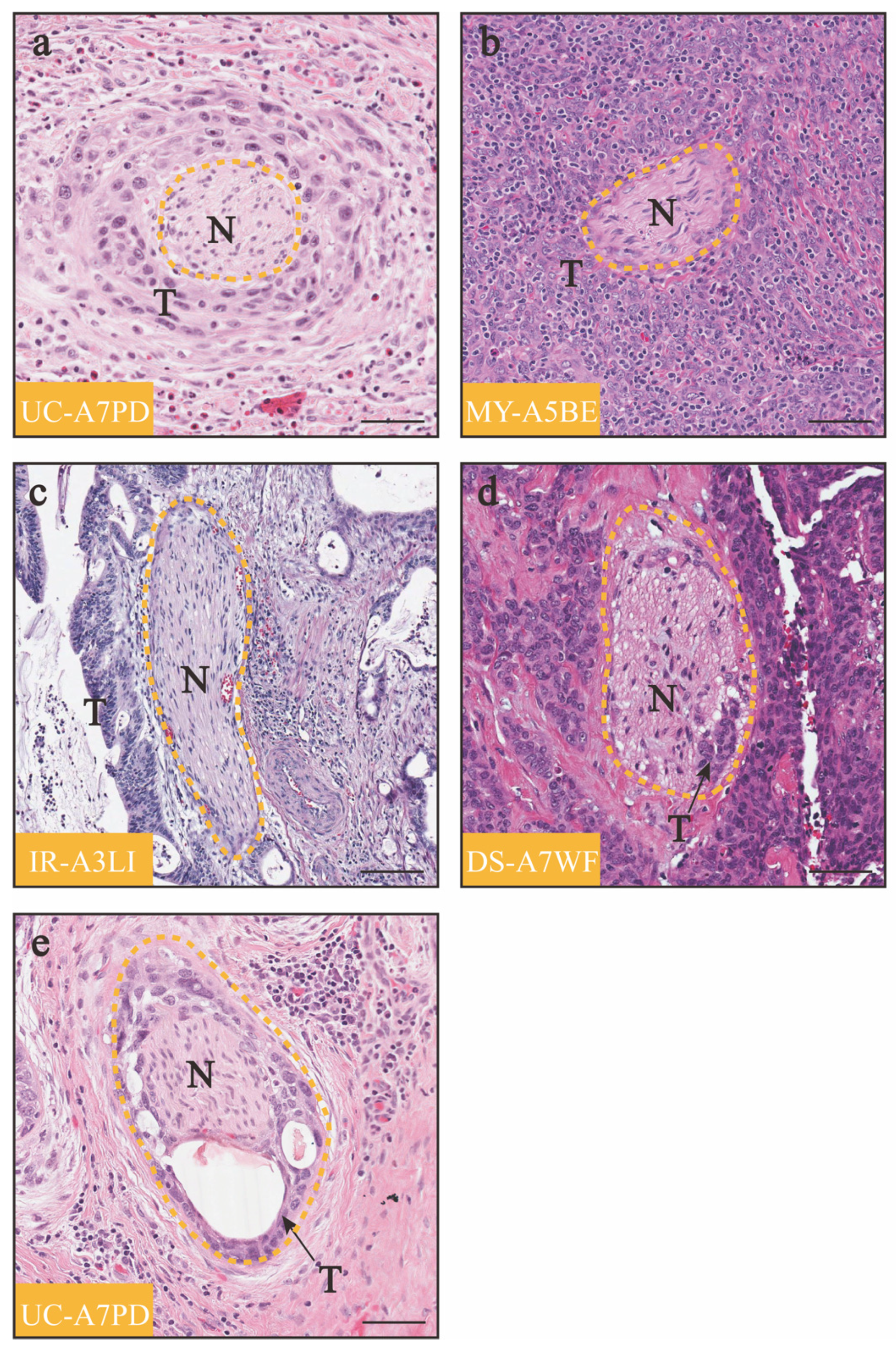 Diagnostics 14 01517 g001