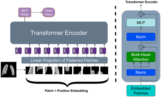 Four Transformer-Based Deep Learning Classifiers Embedded with an ...