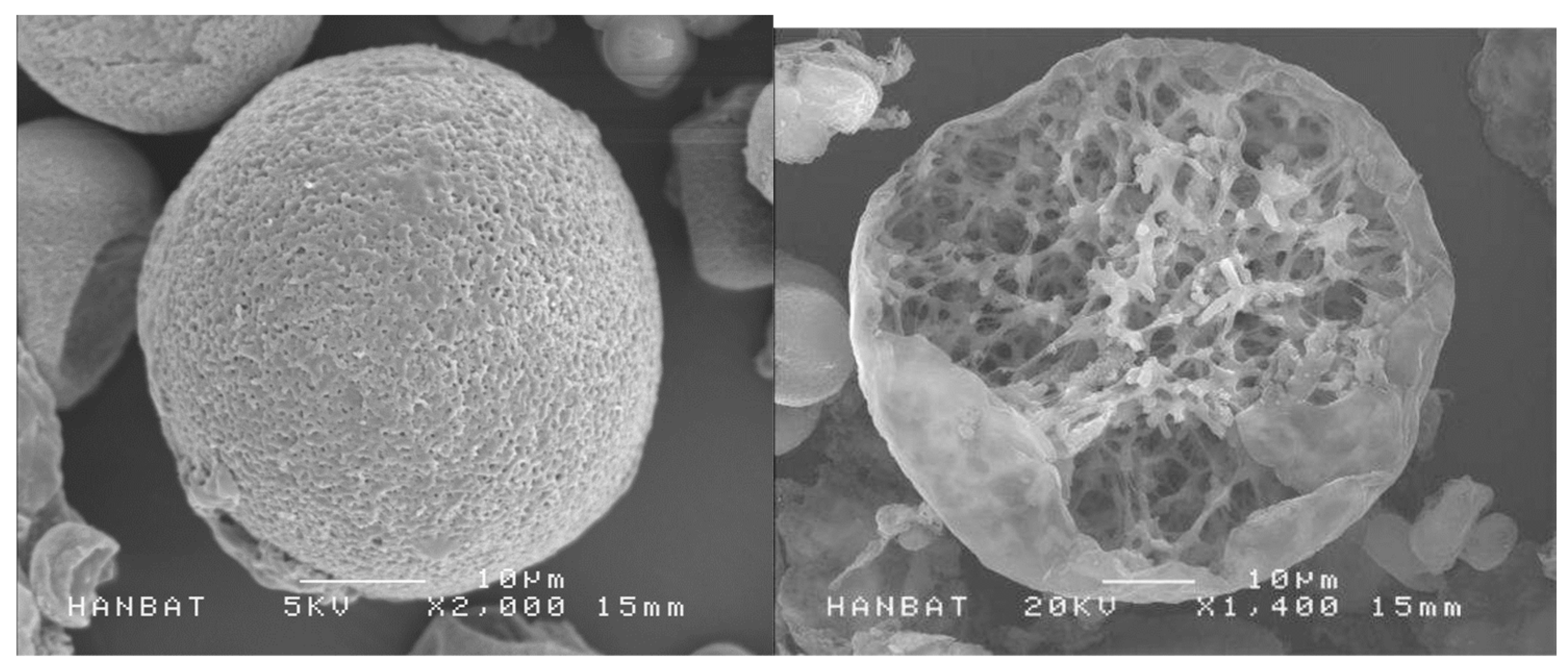 Diagnostics 14 01555 g014