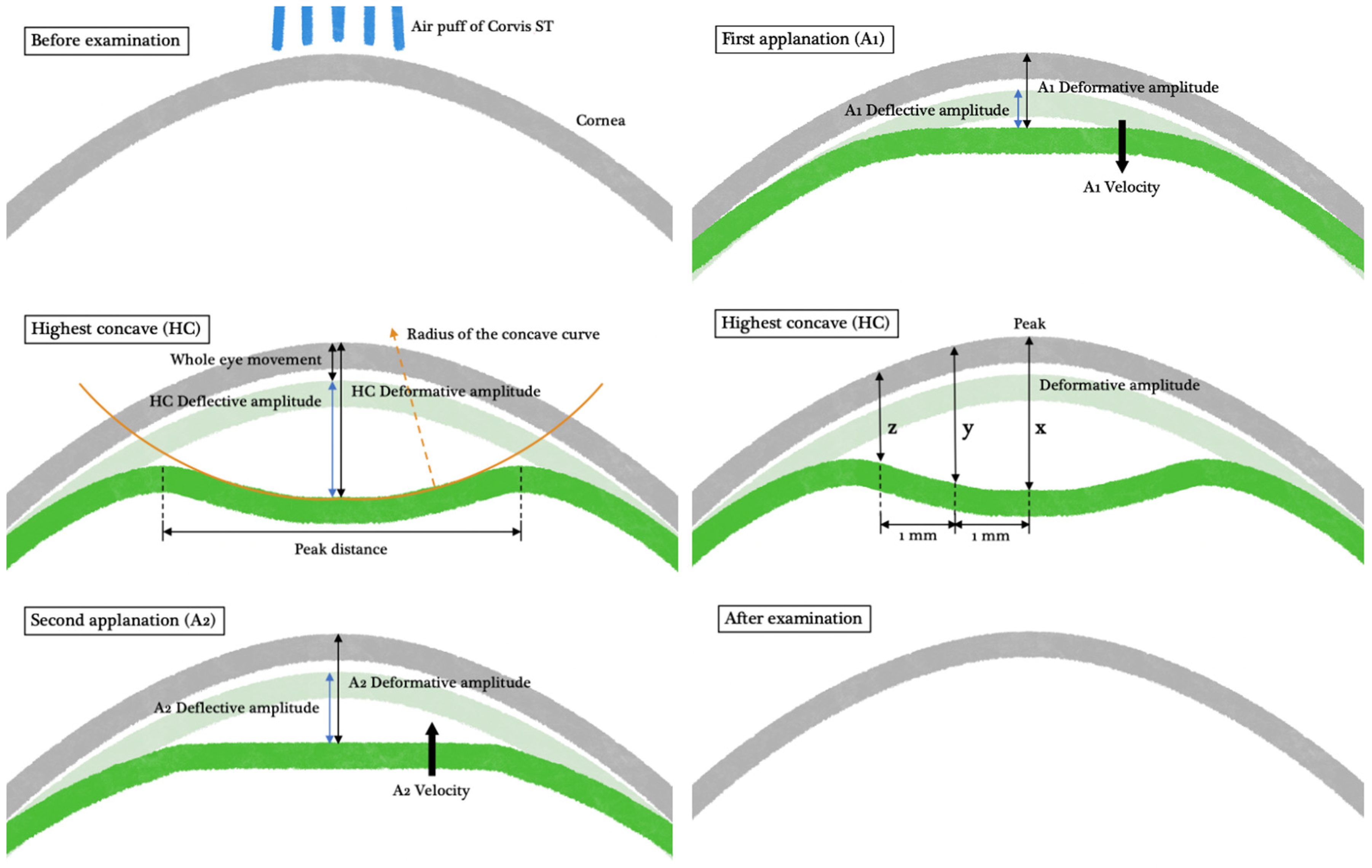 Diagnostics 14 01557 g001