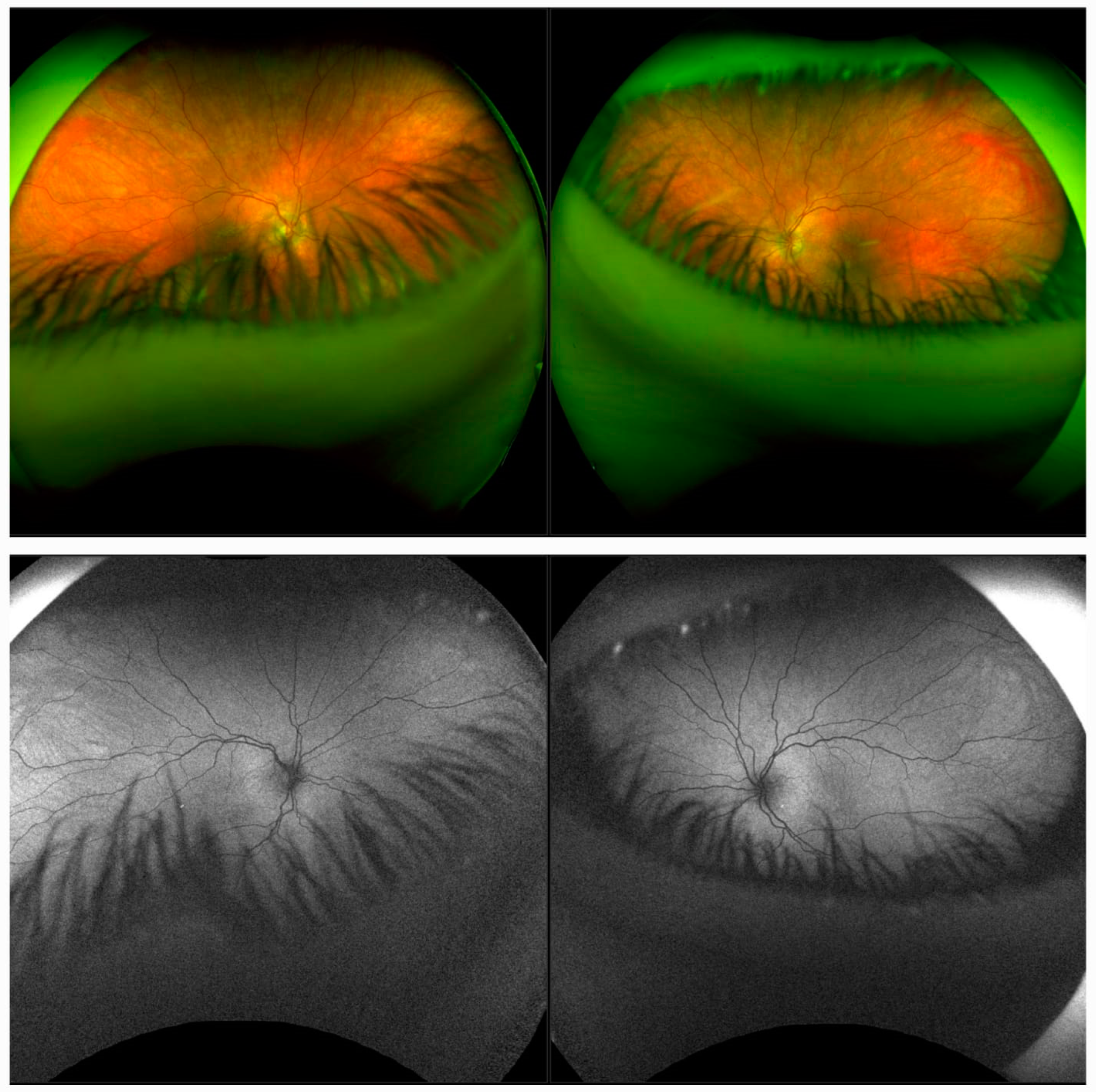 Diagnostics 14 01583 g003