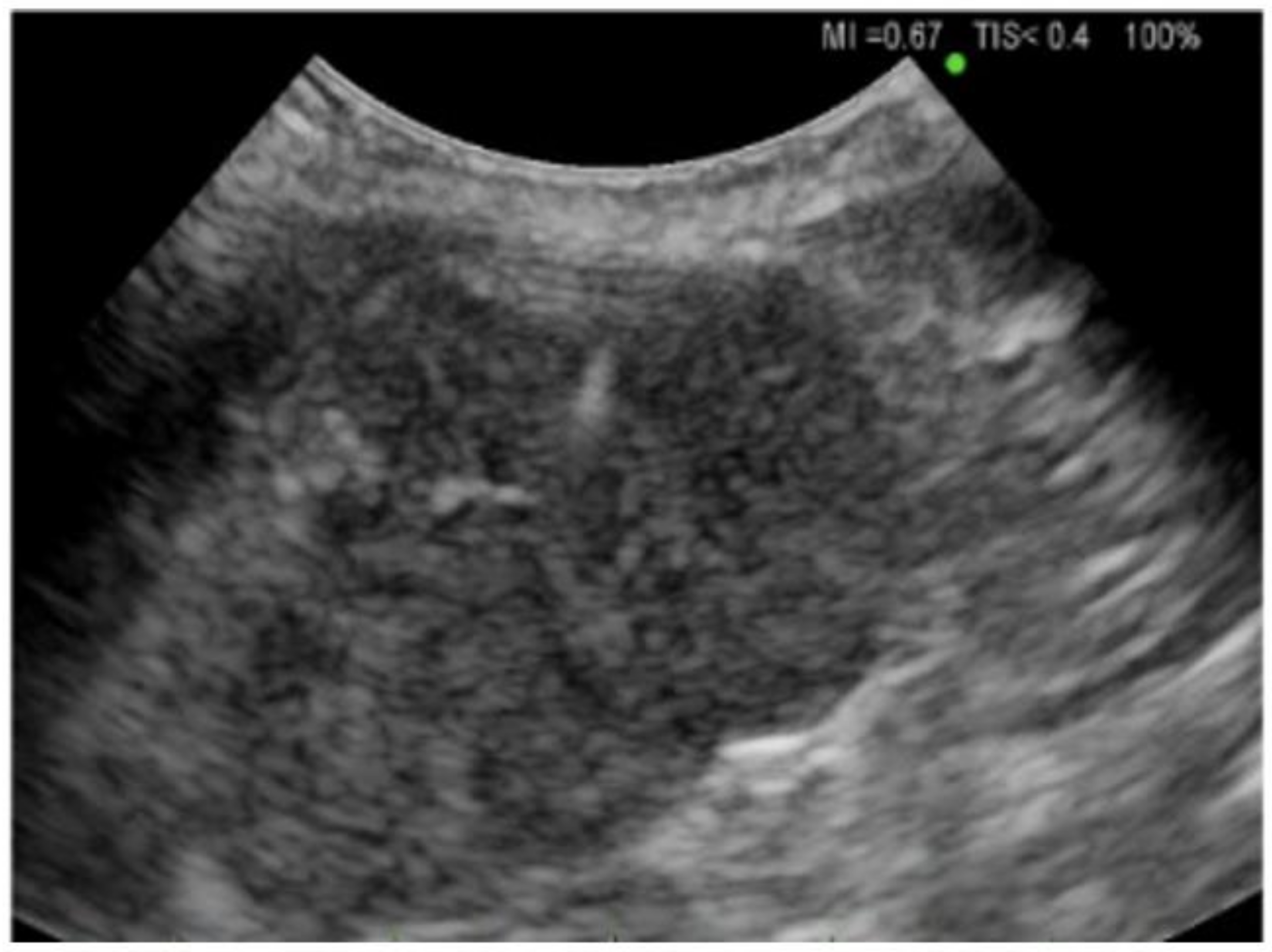 Diagnostics 14 01604 g001