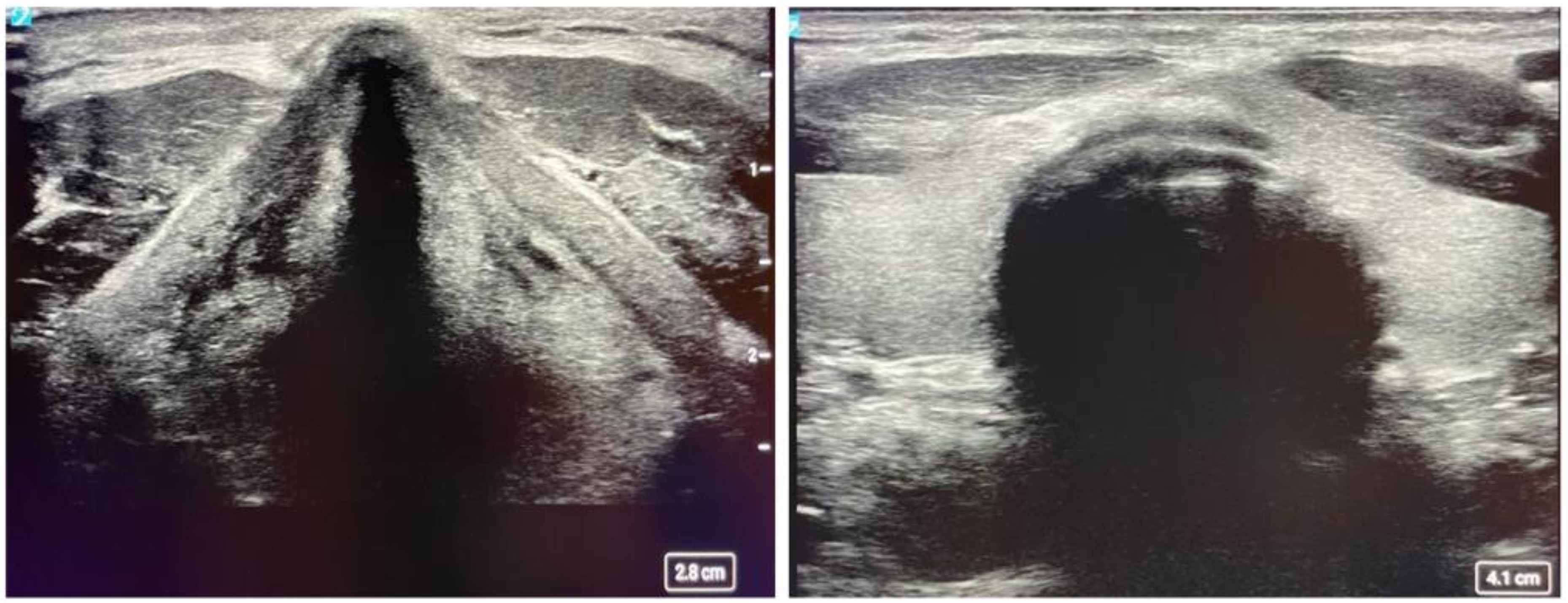 Diagnostics 14 01604 g002